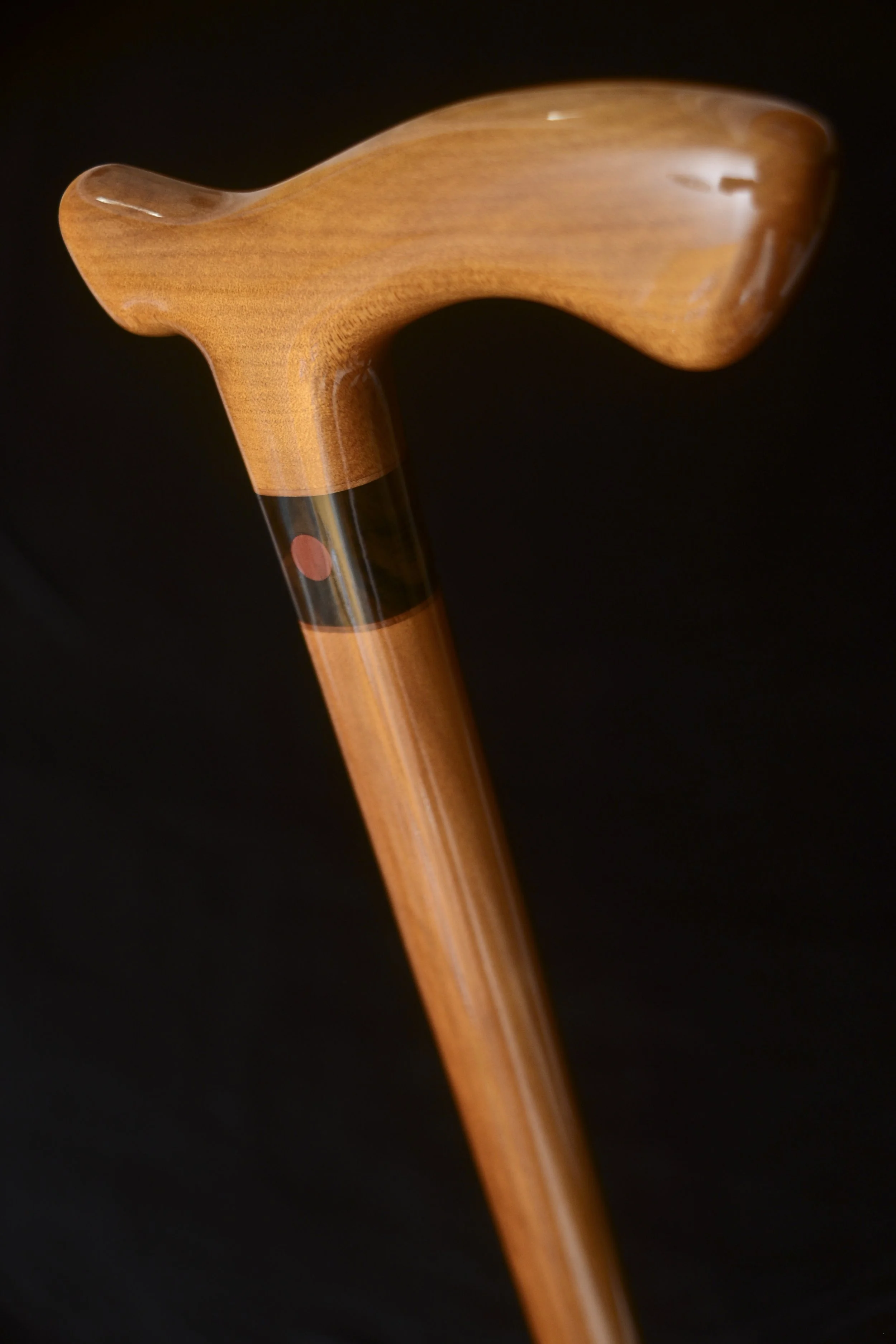 Ancient Kauri 4.jpg