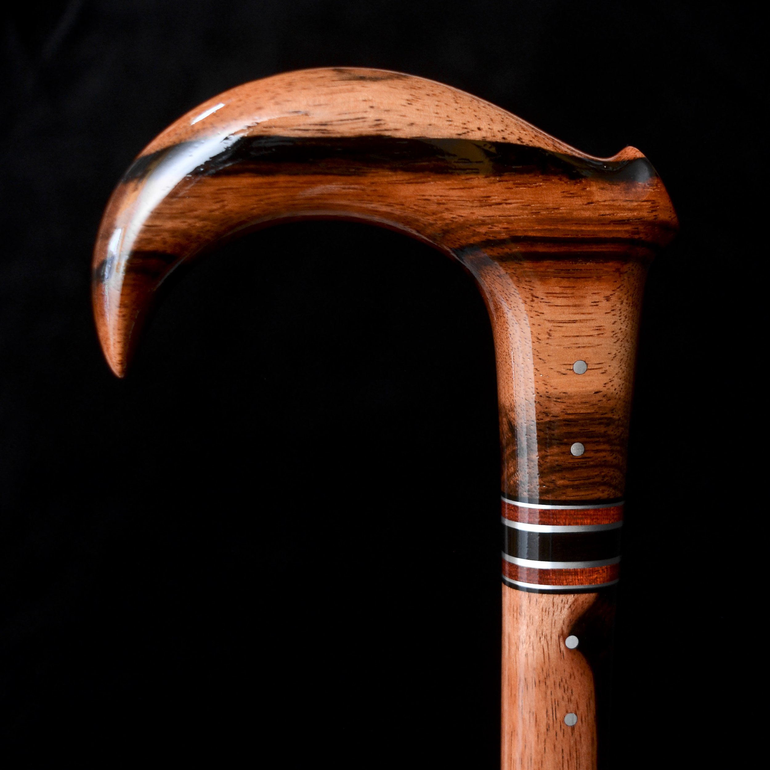 Macassar Claw 11.jpg