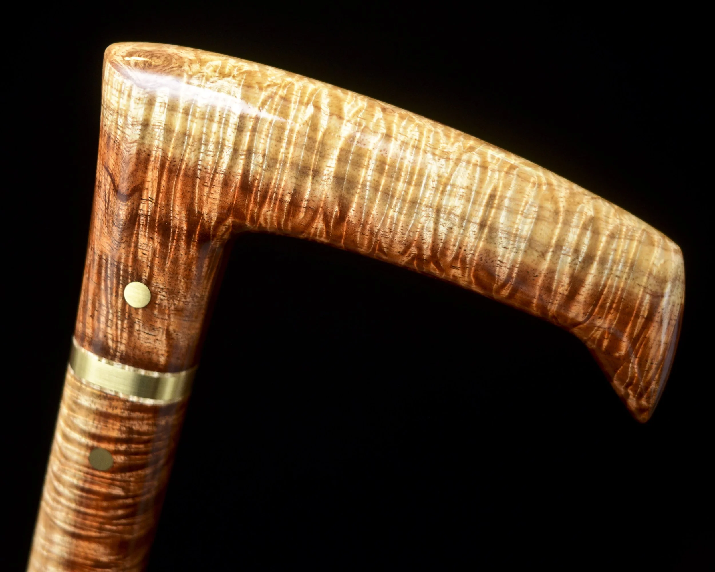 Tasmanian Blackwood 7.jpg