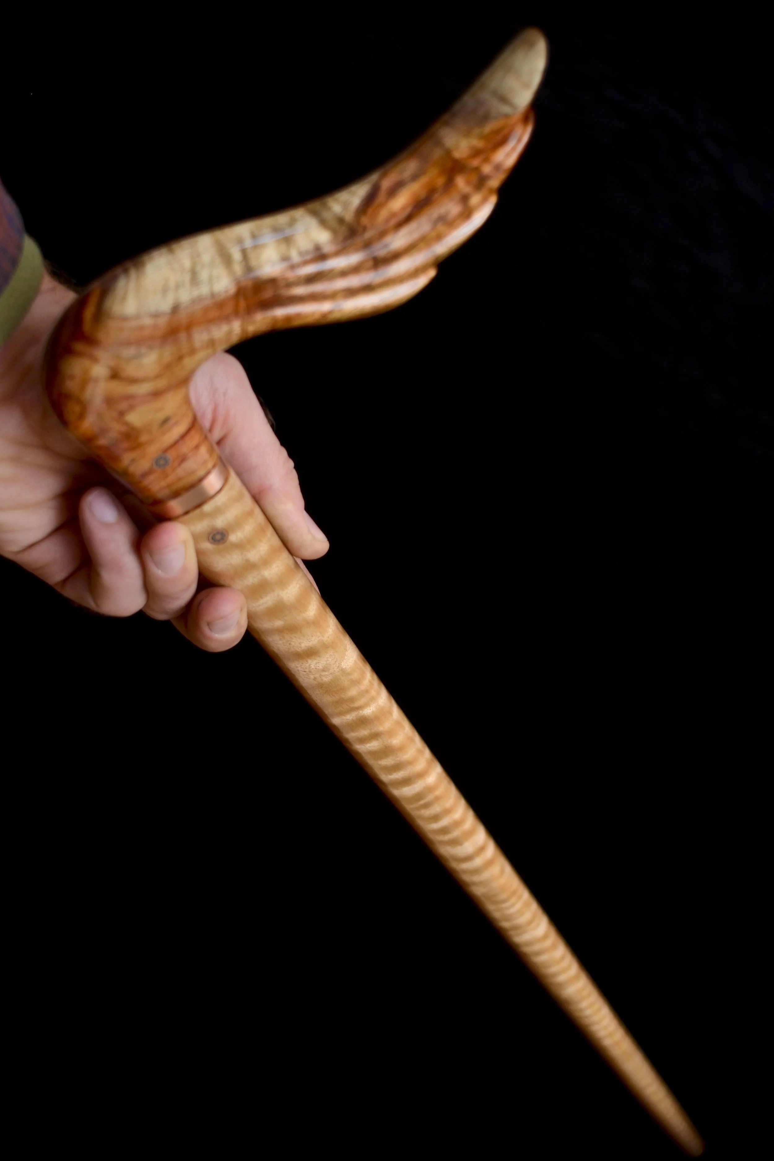 Hainan Rosewood, Eucalyptus 17.jpg