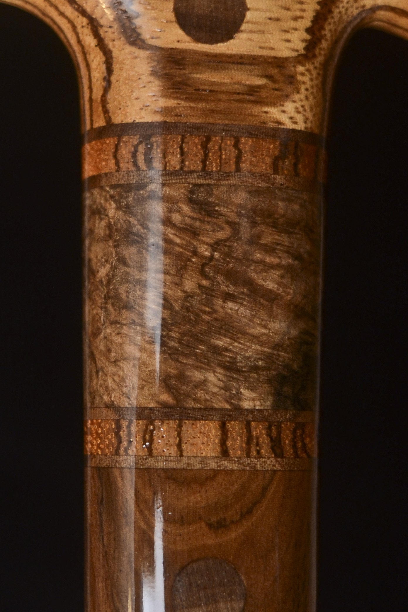 Zebrawood, Mansonia 7.jpg