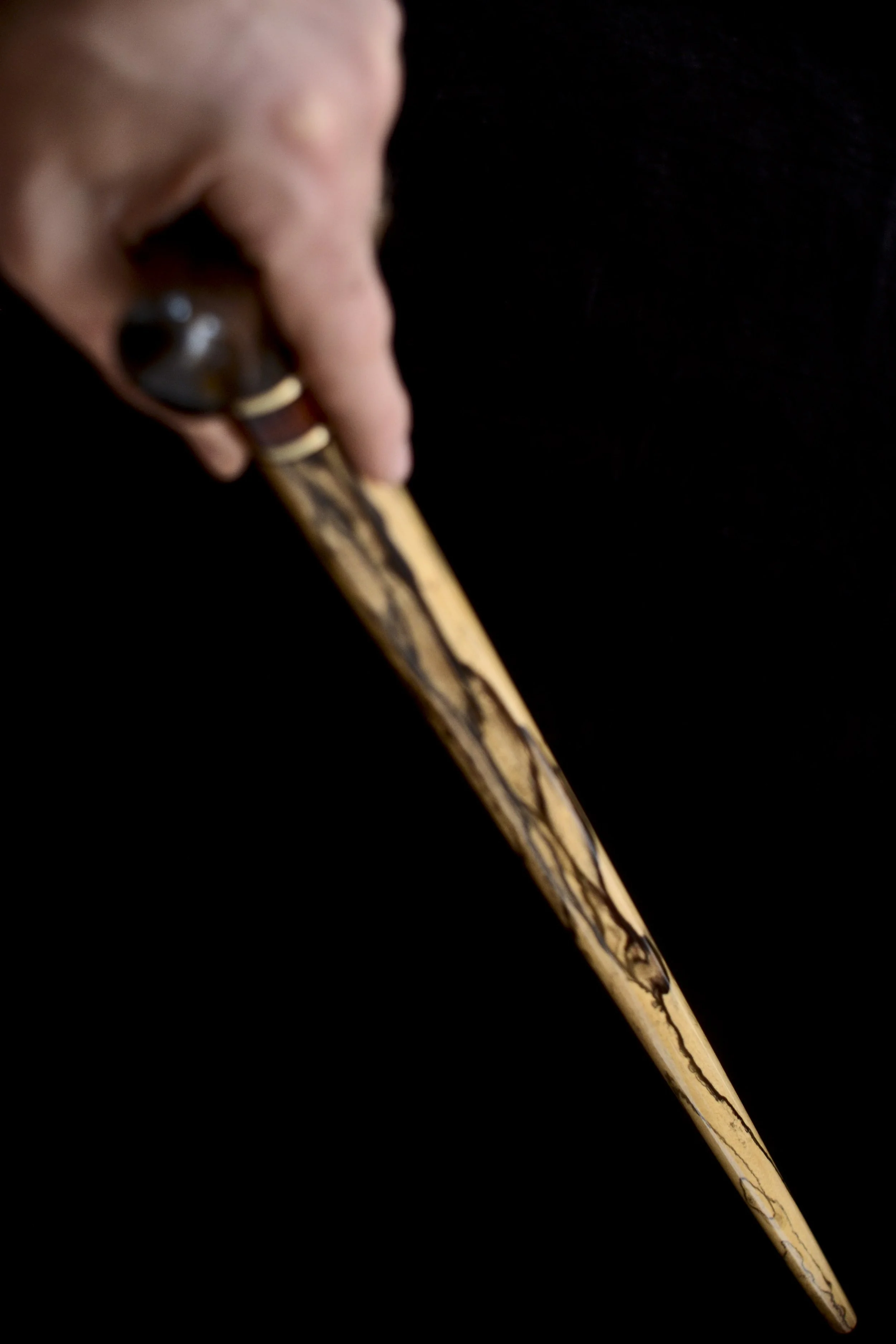 Bog Oak, B&W Ebony 12.jpg