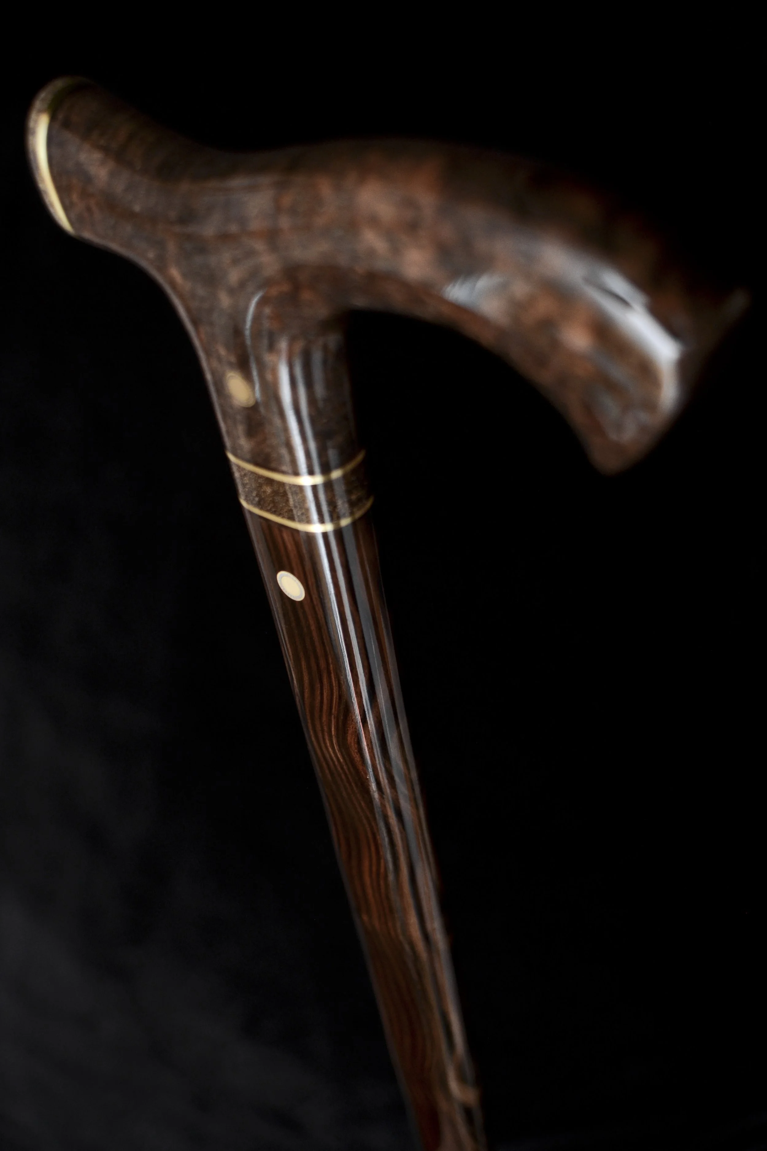 Gidgee Burl, Macassar Ebony, Ancient Bone, Stony Meteorite 4.jpg