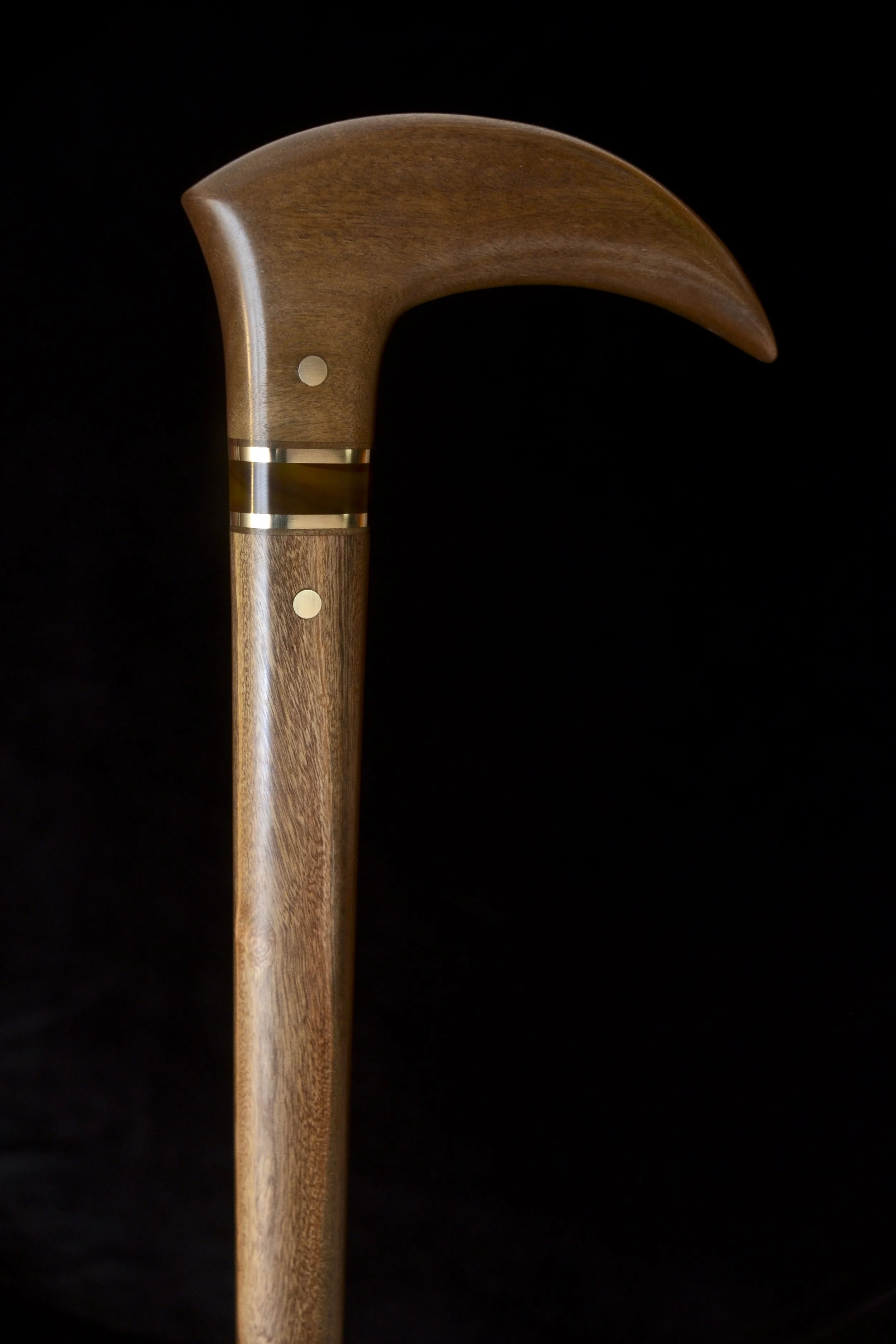 Bog Birch, Ipe 1.jpg