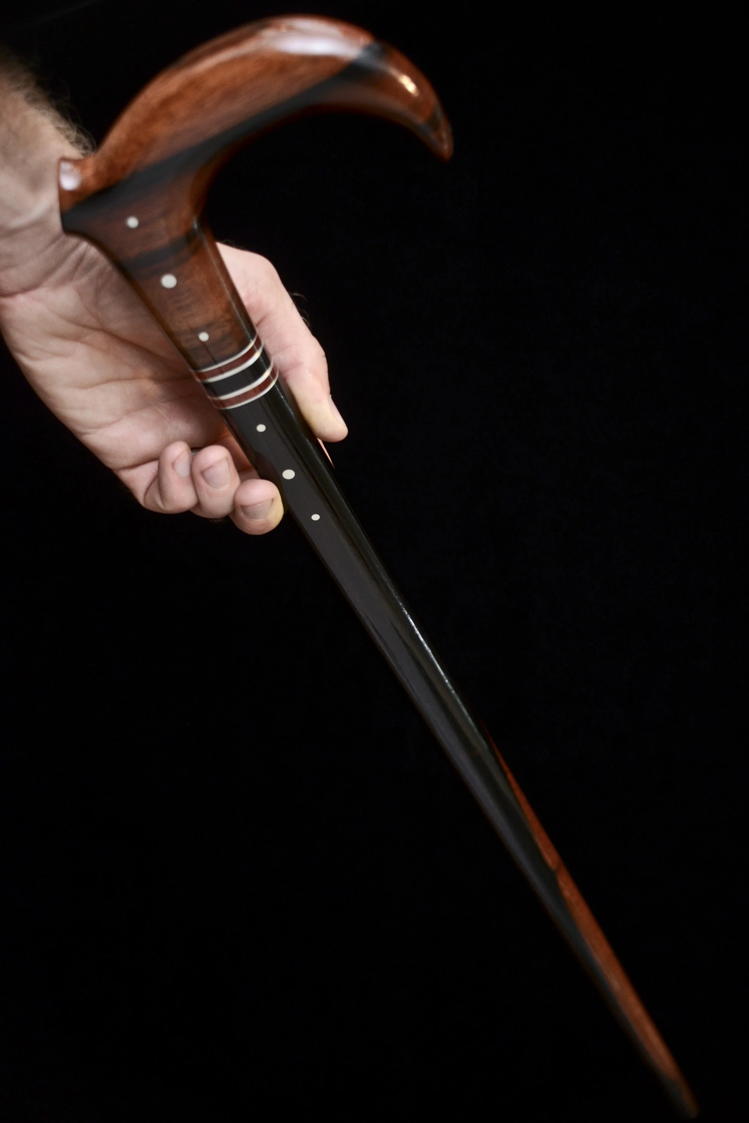 Ebony claw 12.jpg