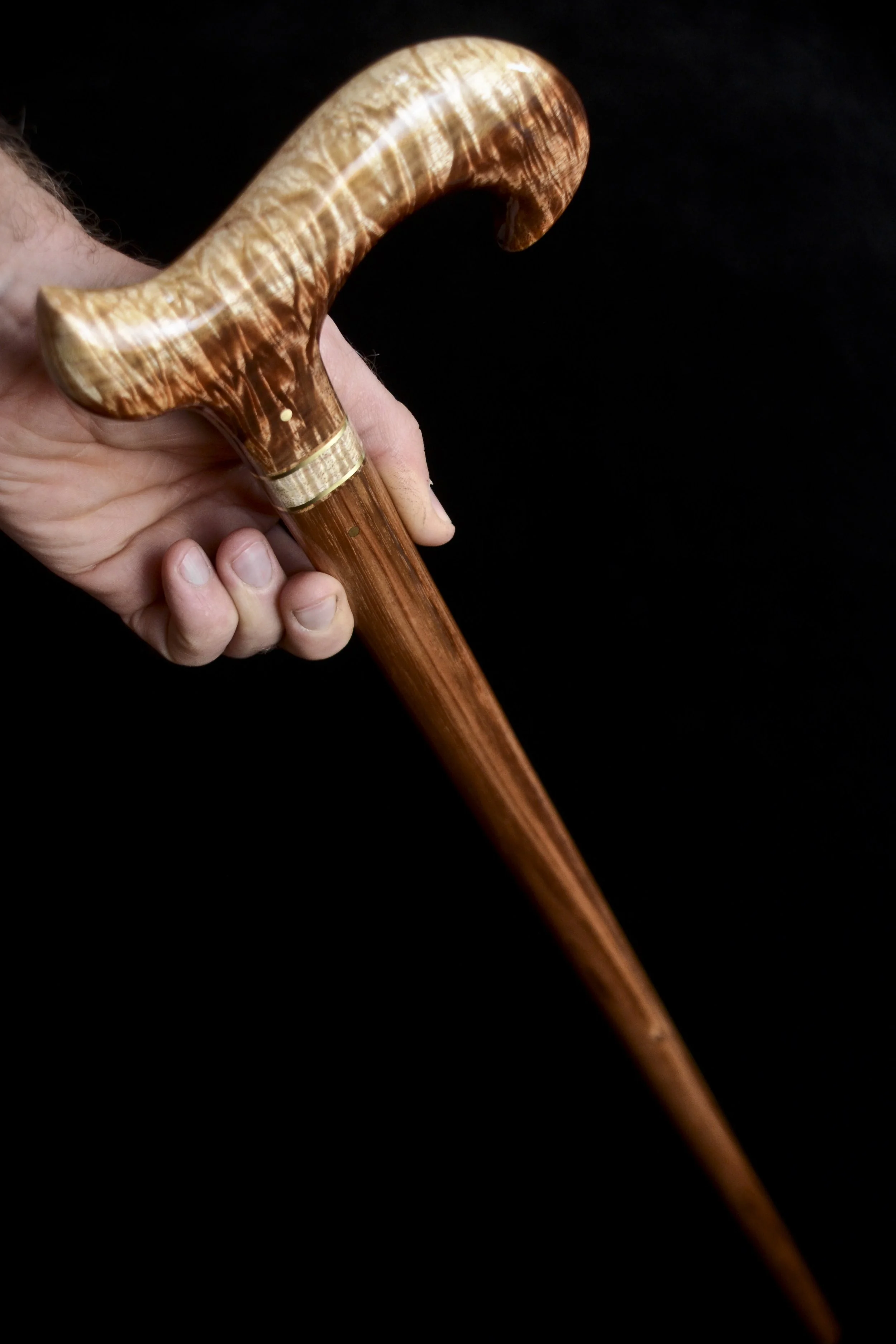 Tasmanian Blackwood 13.jpg