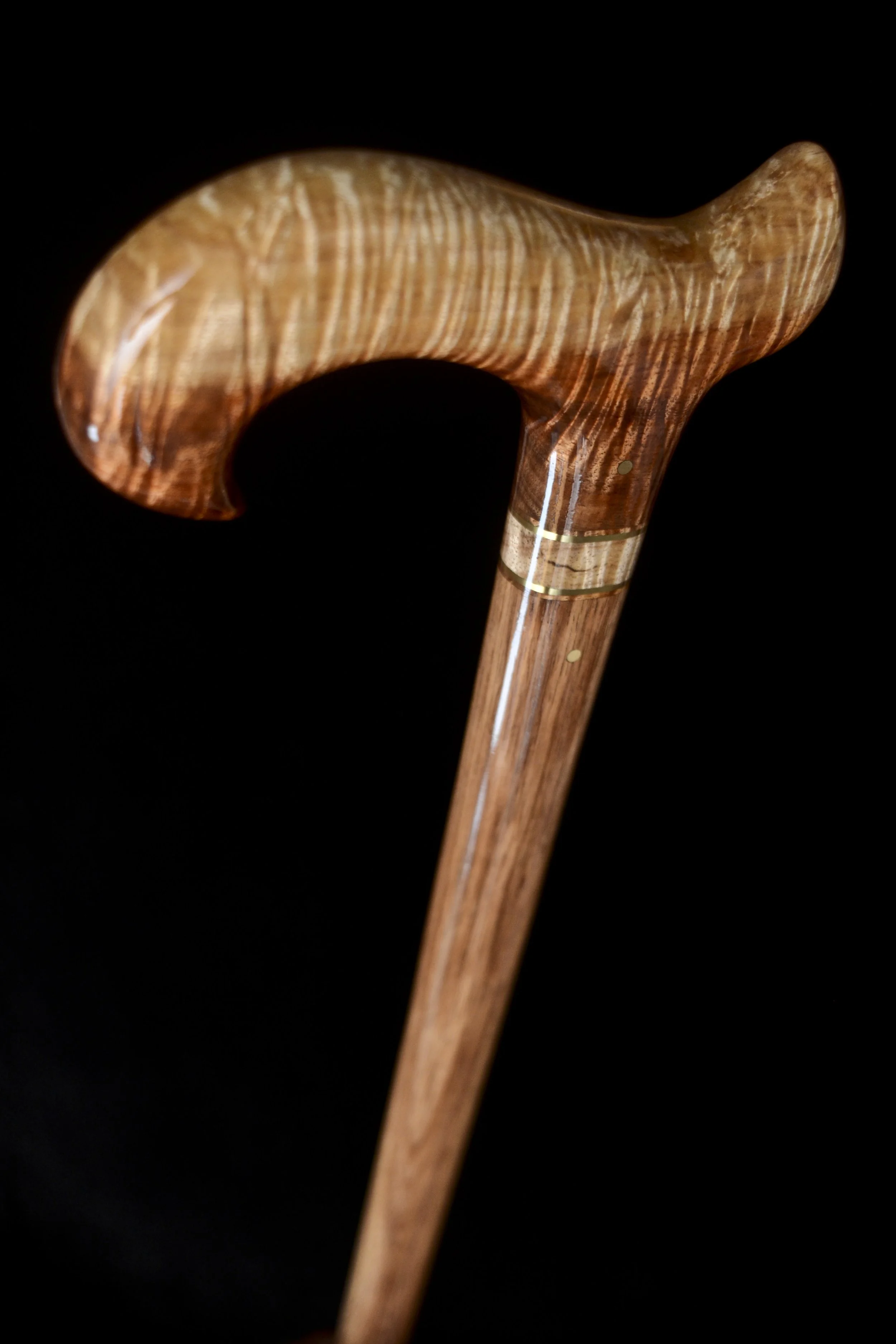 Tasmanian Blackwood 6.jpg