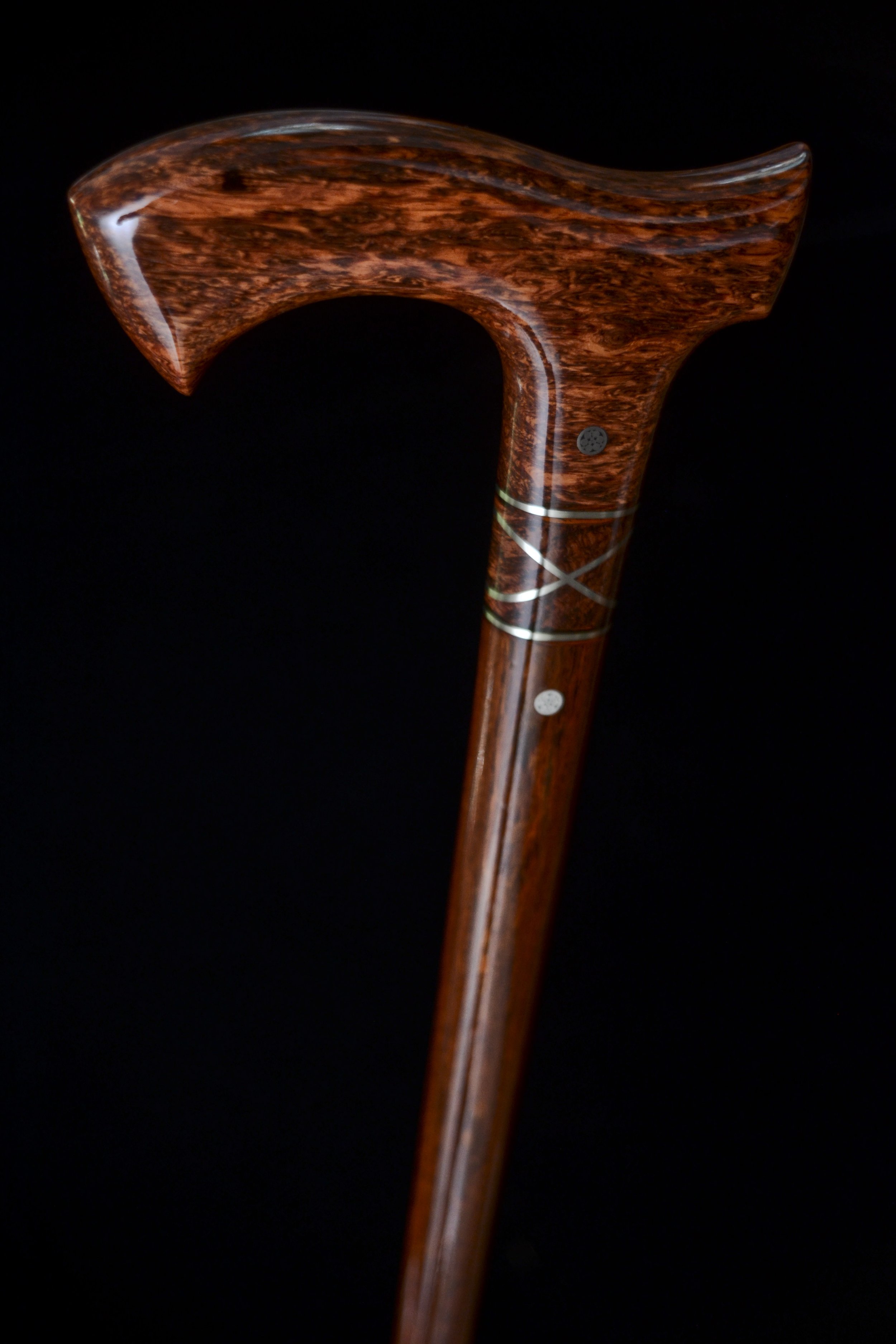 Siamese, Cocobolo 6.jpg