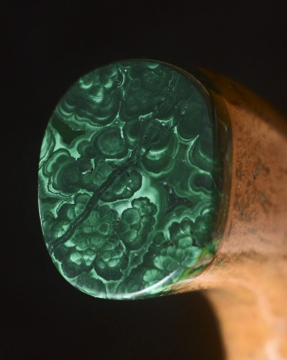Sea Cow, Kauri, Malachite 9.jpg