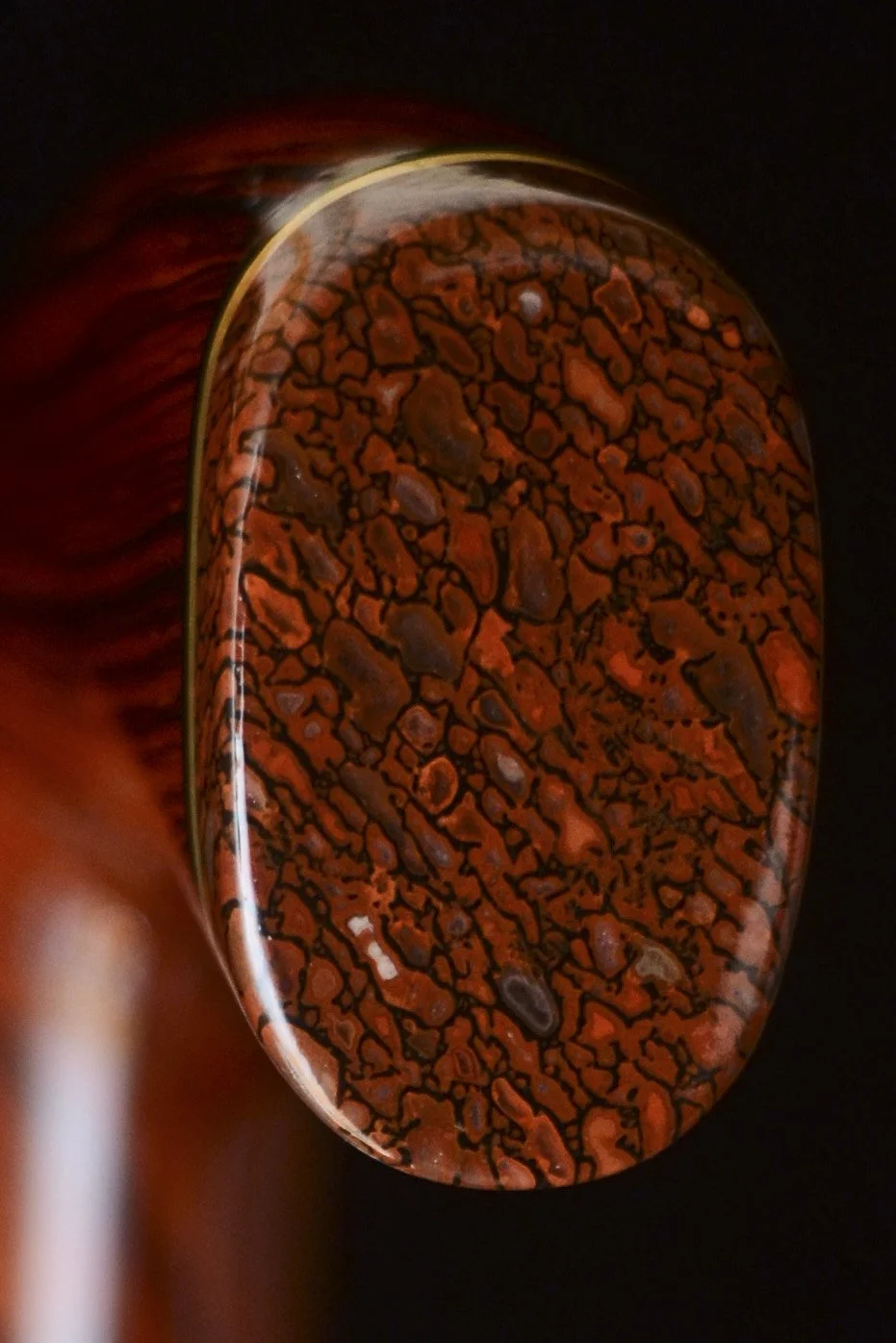 Cocobolo, Ebony, Dino Bone 5.jpg