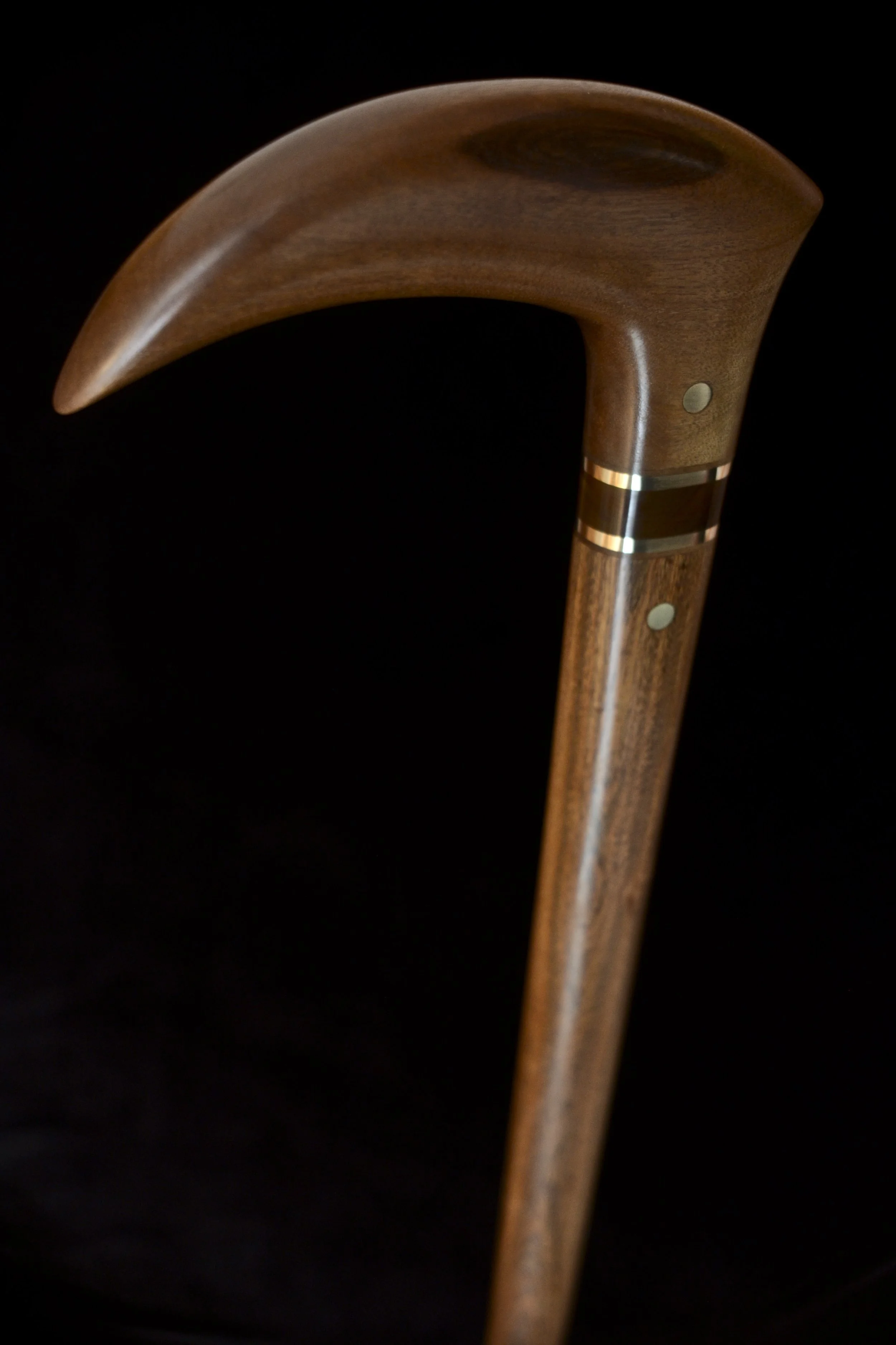 Bog Birch, Ipe 6.jpg