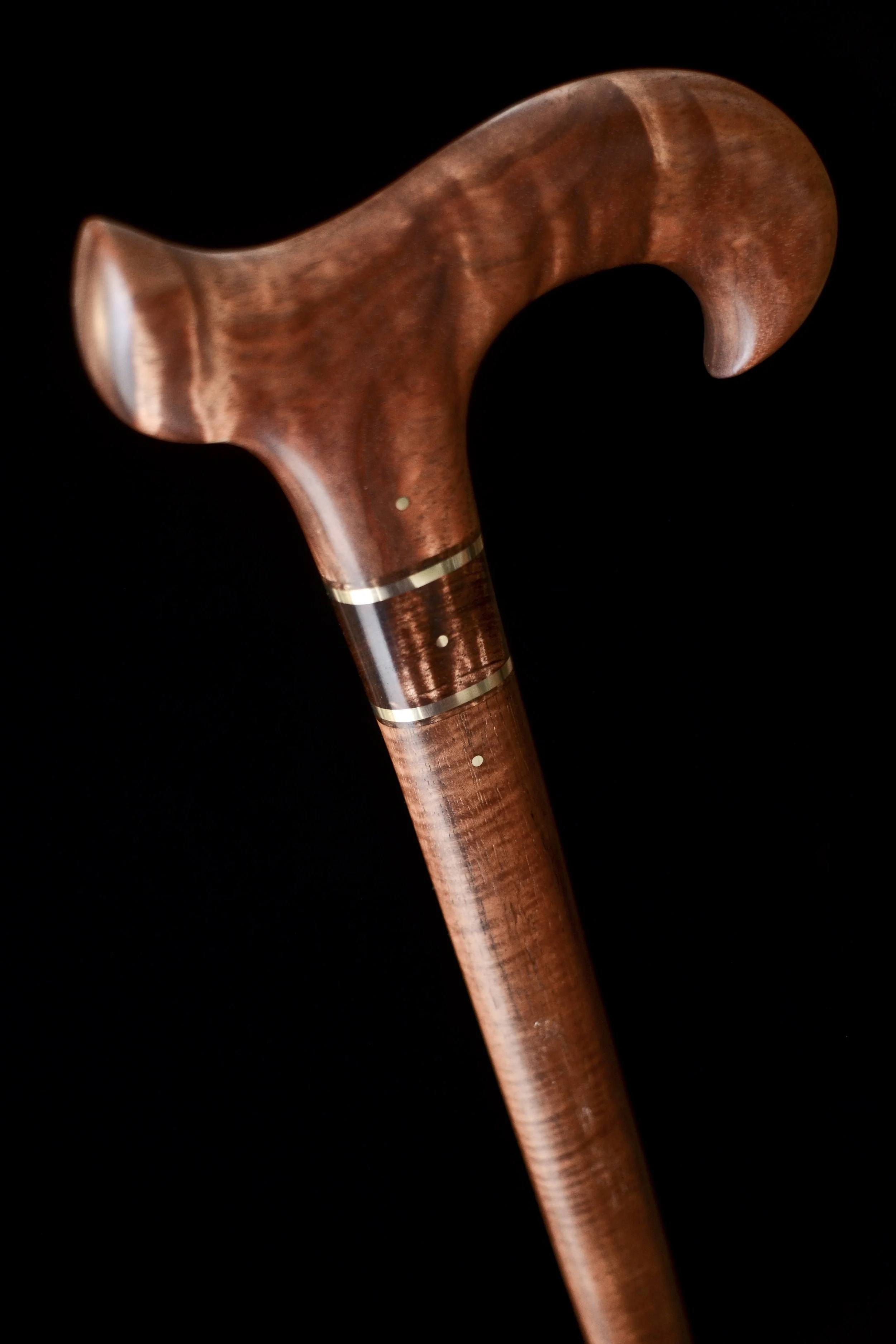 Tasmanian Blackwood, Tzalam 4.jpg