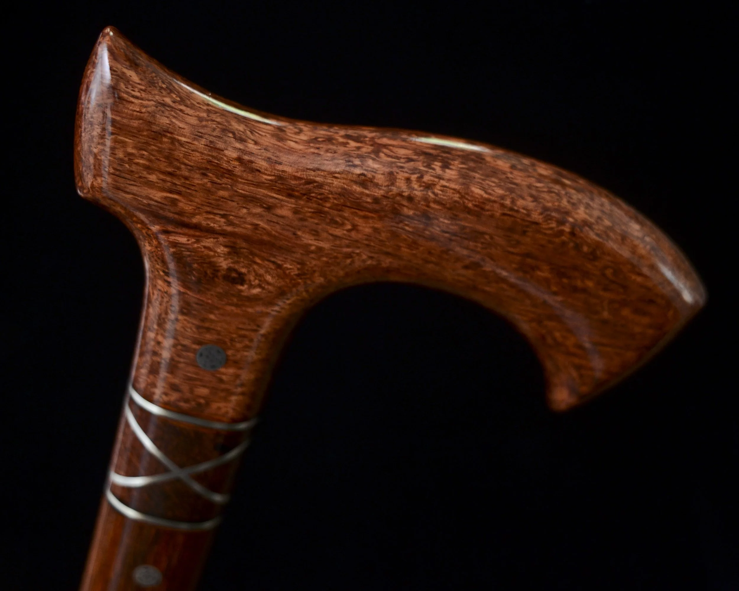 Siamese, Cocobolo 7.jpg