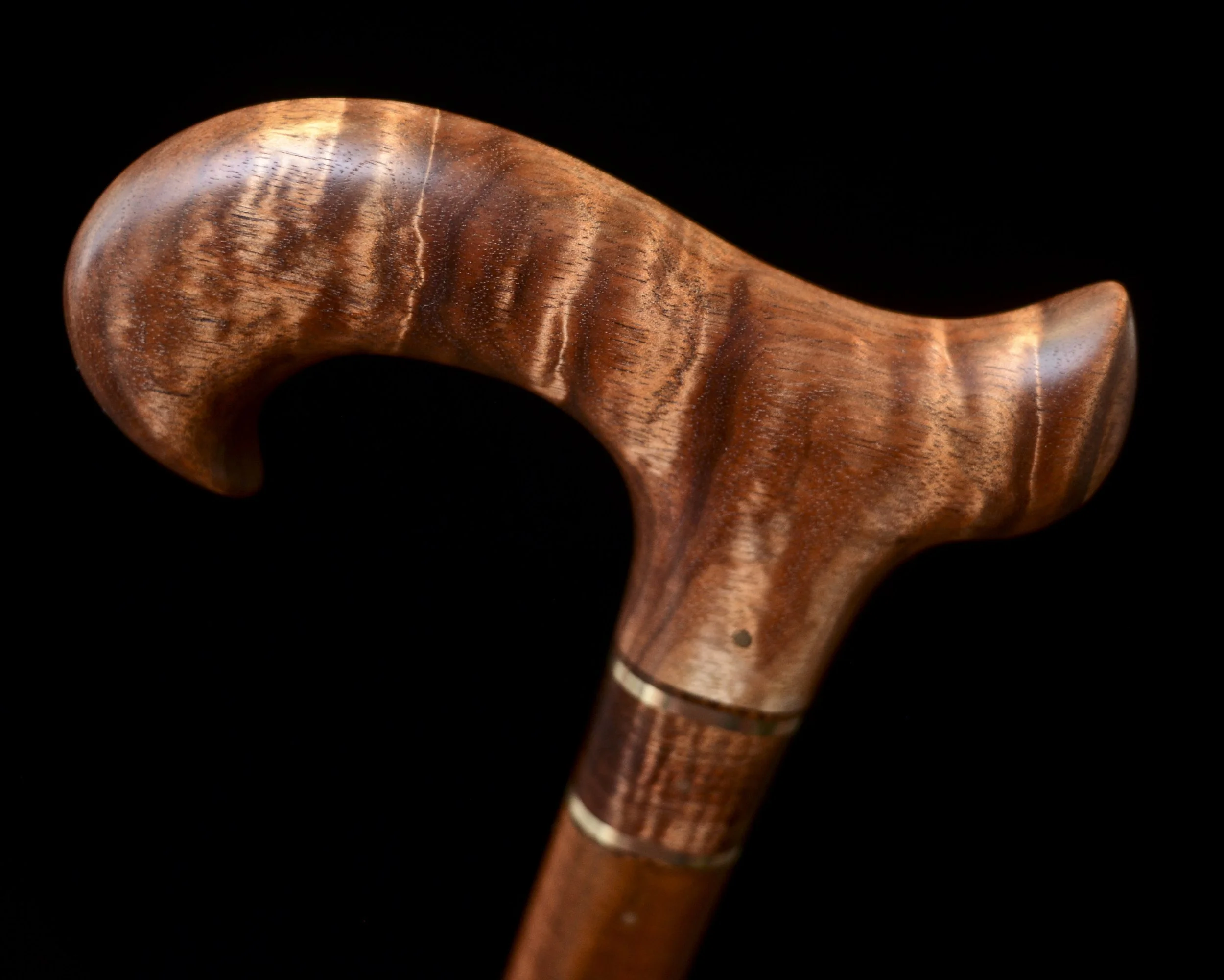 Tasmanian Blackwood, Tzalam 8.jpg