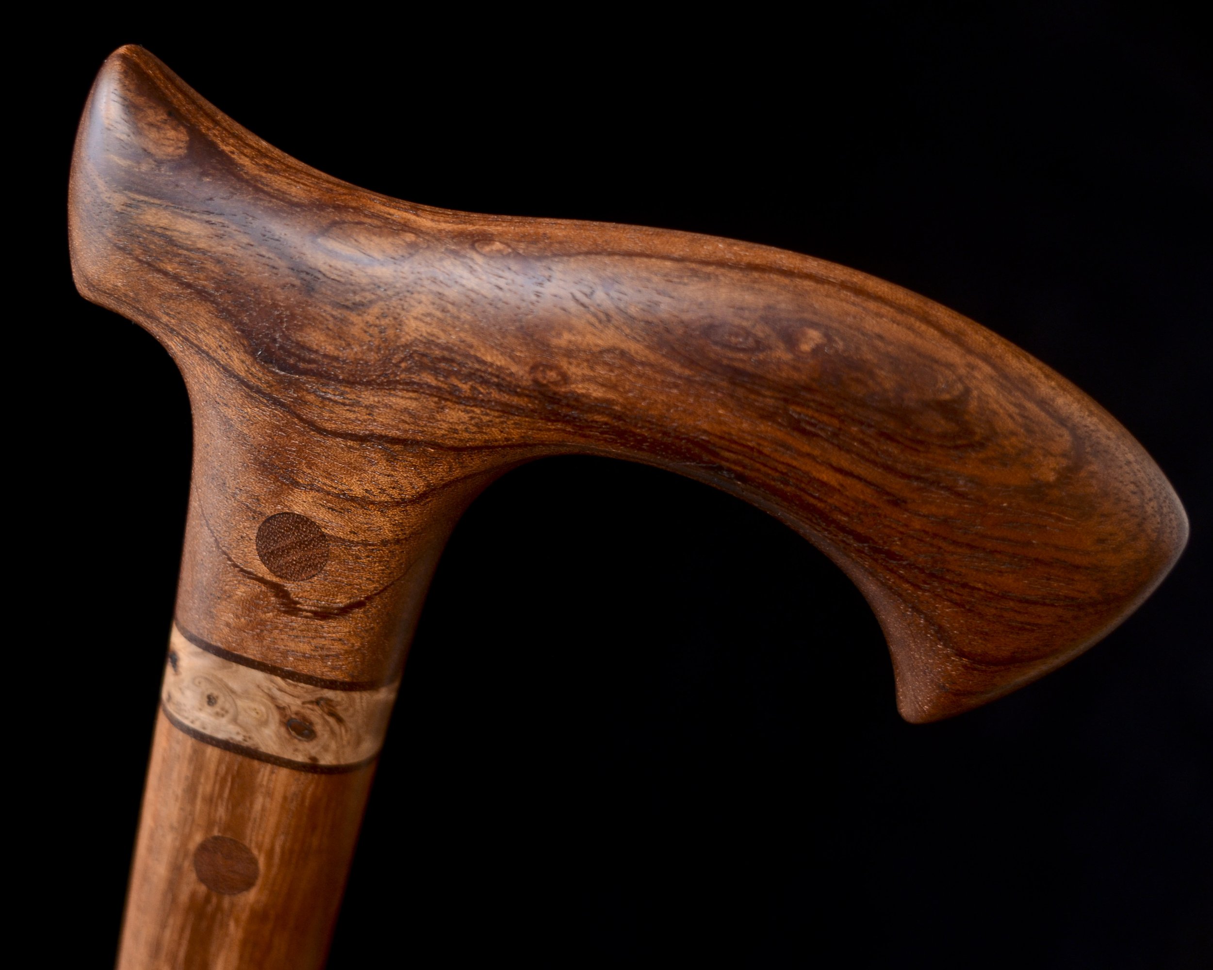 Brazilian Mahogany, Tzalam 5.jpg