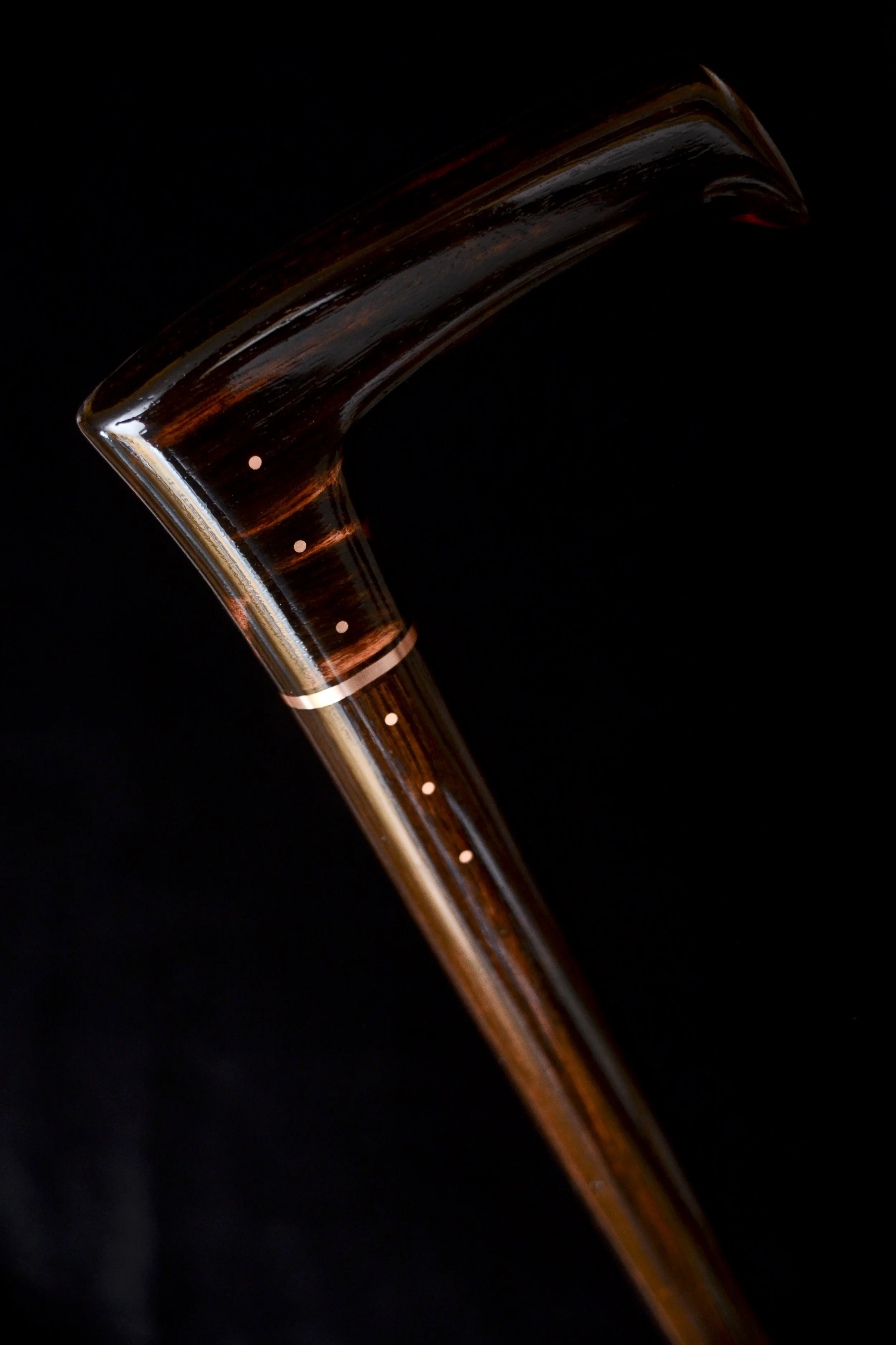Ebony Modern 5.jpg