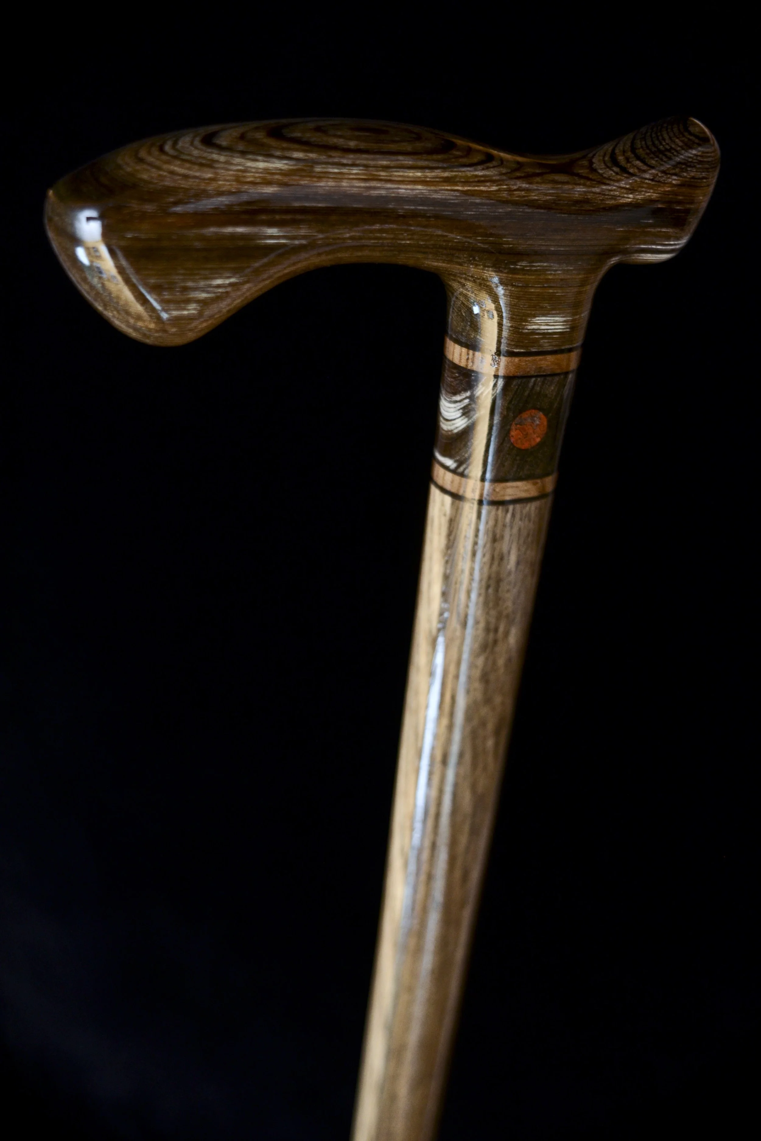 Sinker Cypress, Bog Oak, Jindai Nire, Dinosaur bone 6.jpg