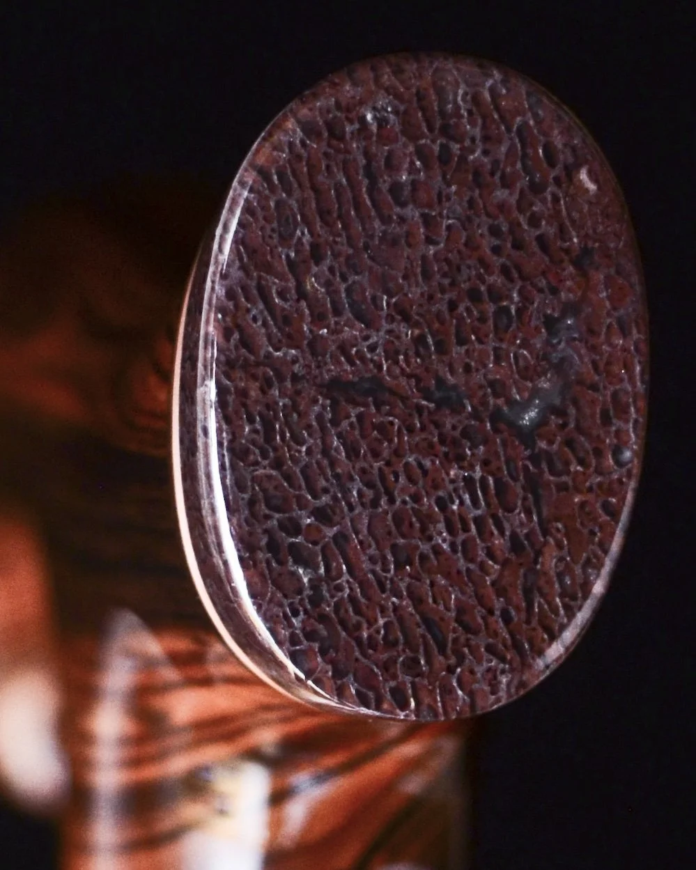 Kingwood, EIR, Gem Bone 12.jpg