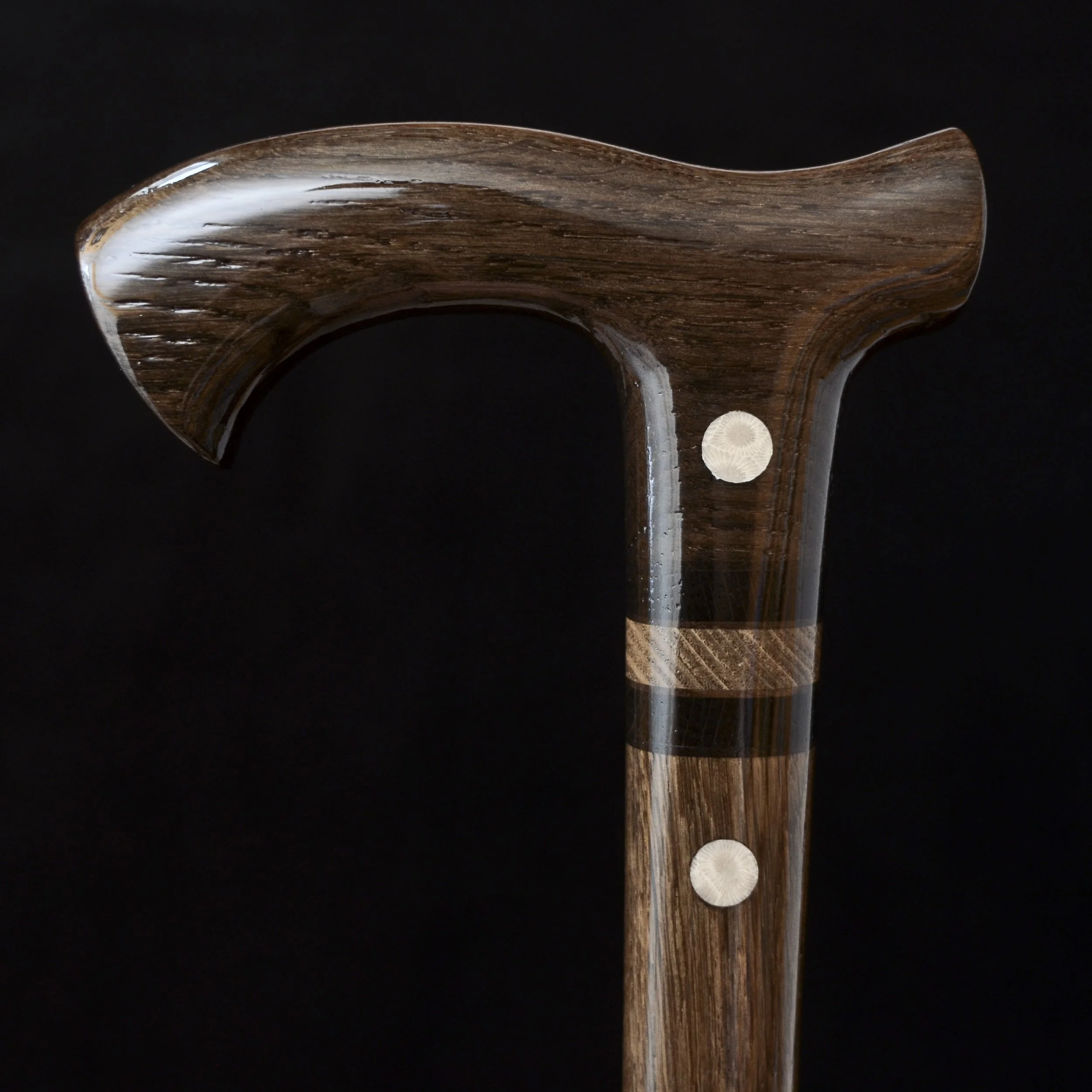 Bog Oak Fossil coral  10.jpg