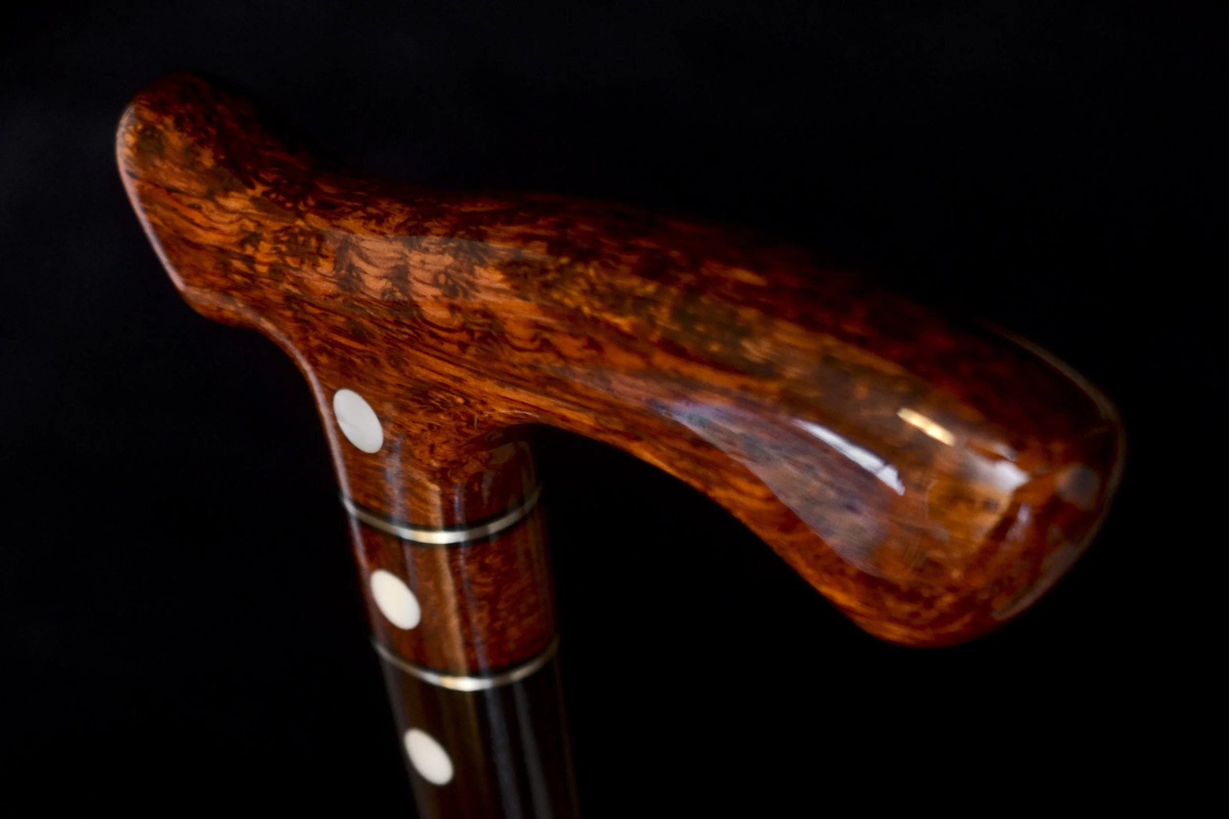 Flame Siam, Ebony 5.jpg