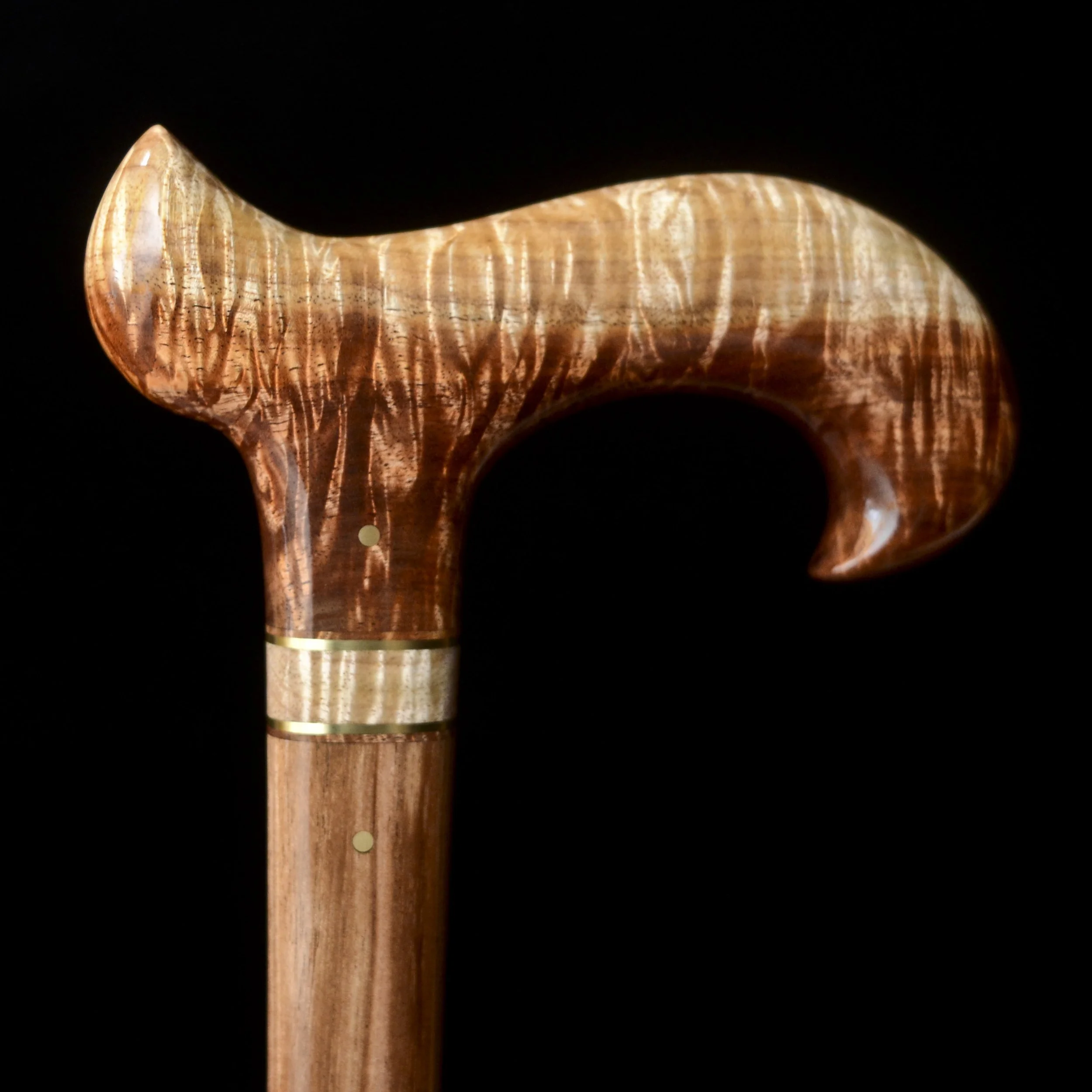 Tasmanian Blackwood 11.jpg