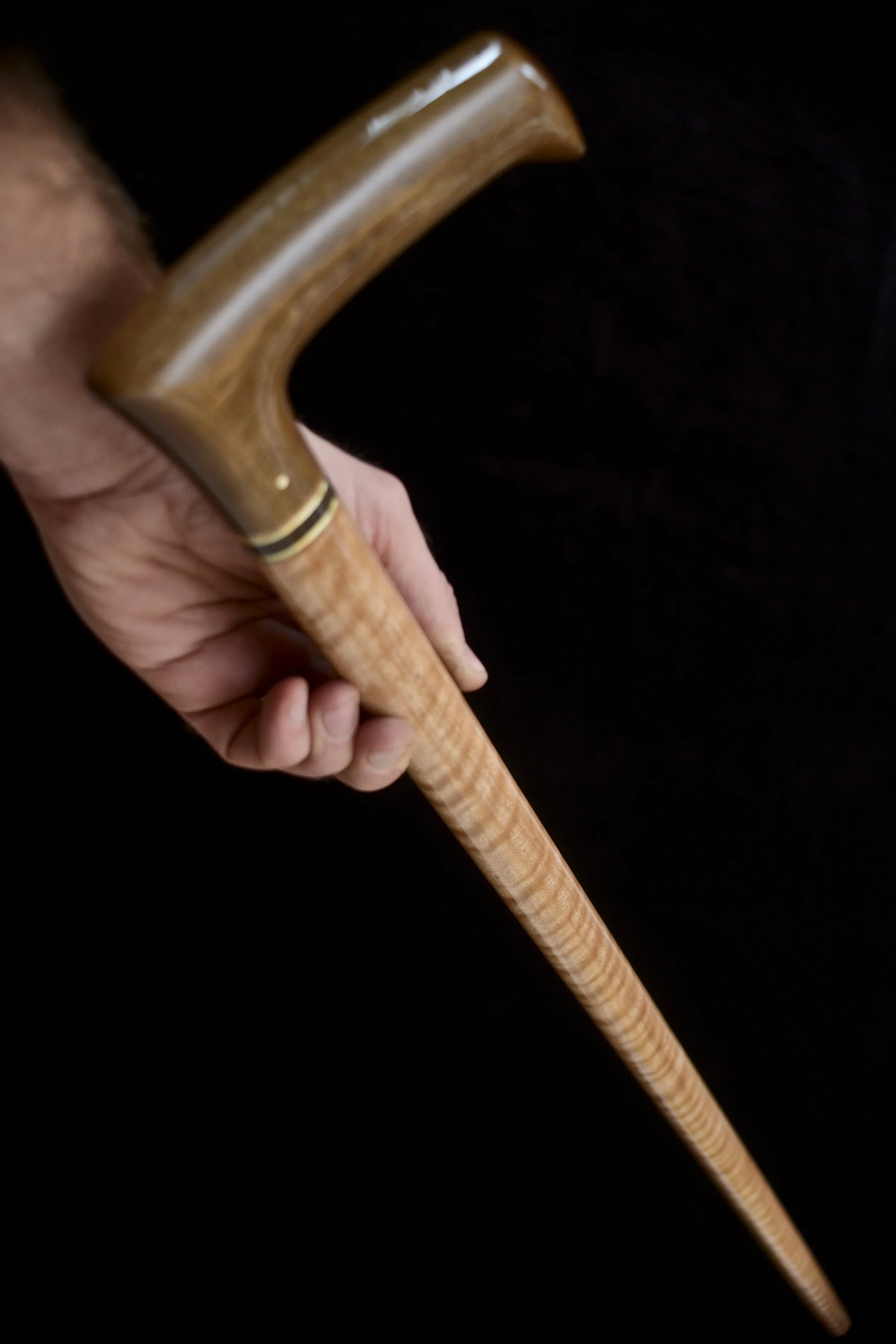 Bog Birch, Eucalyptus  10.jpg