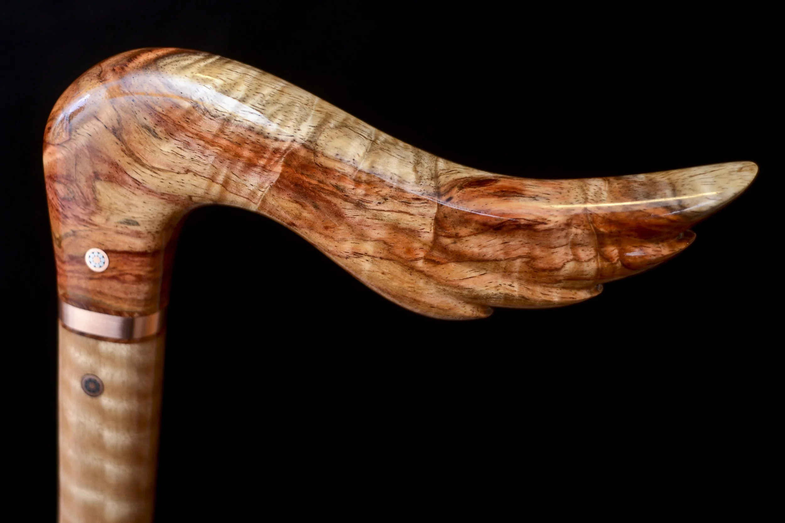 Hainan Rosewood, Eucalyptus 7.jpg