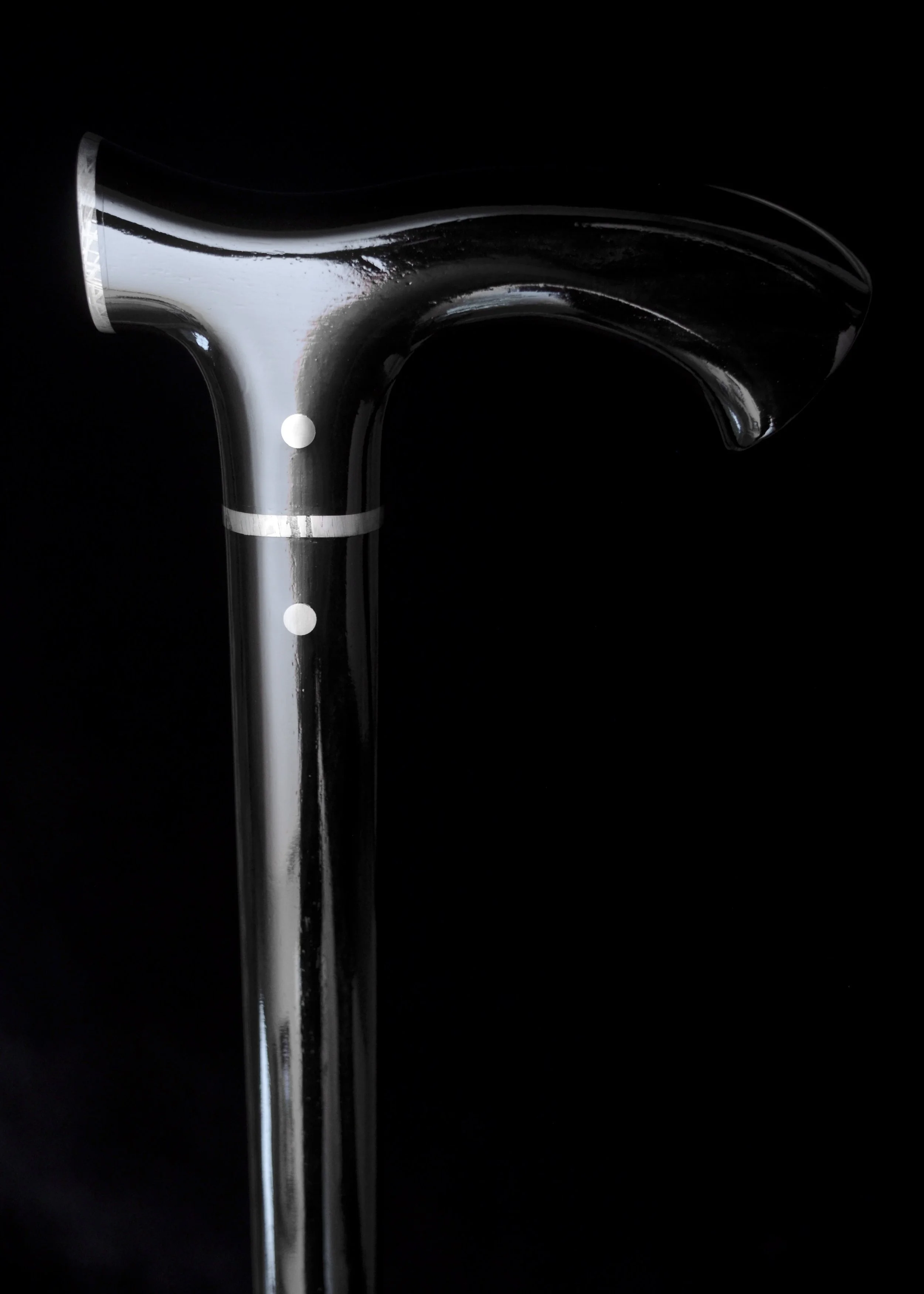 Ebony, Meteorite 1.jpg