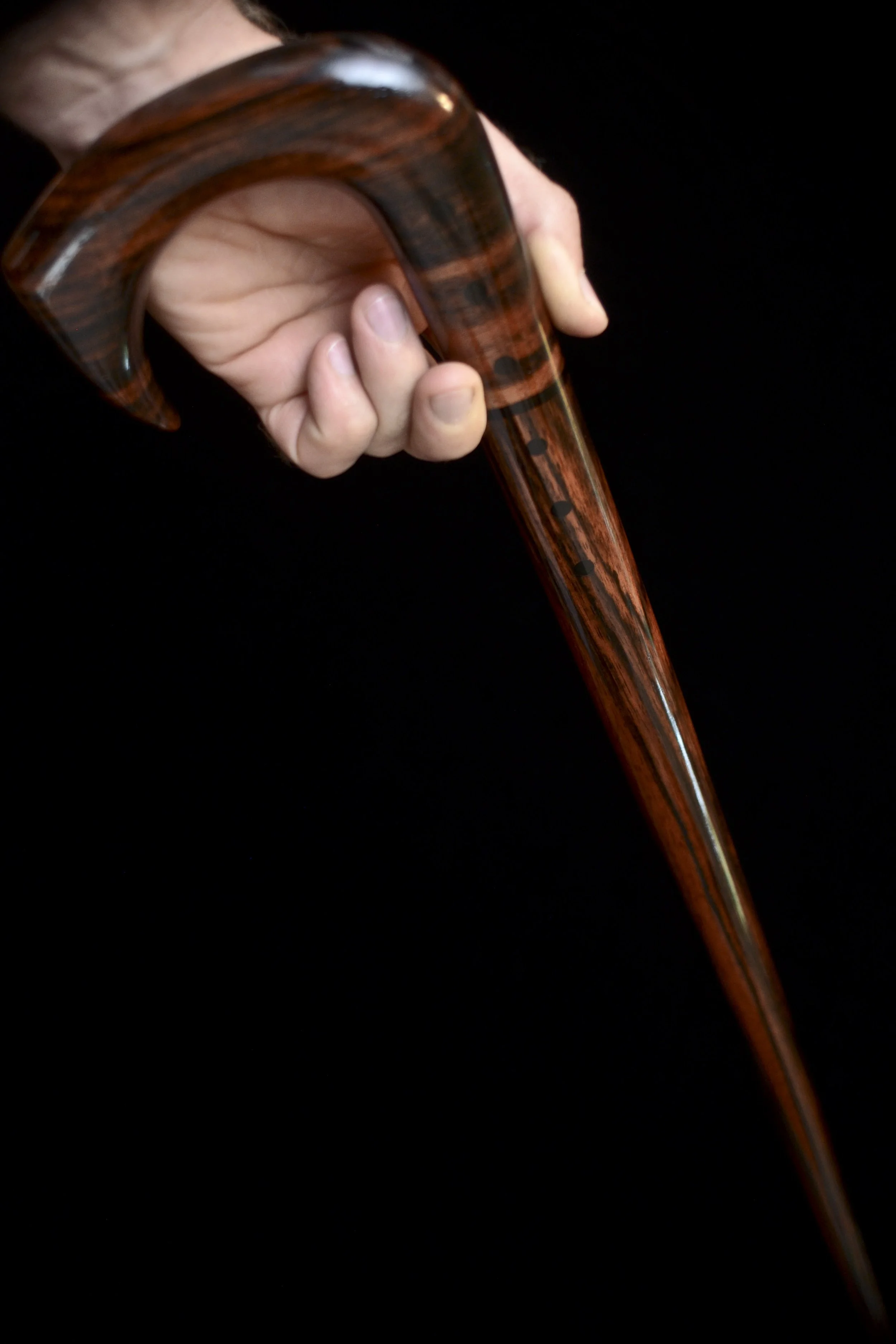 Ebony Talon 12.jpg