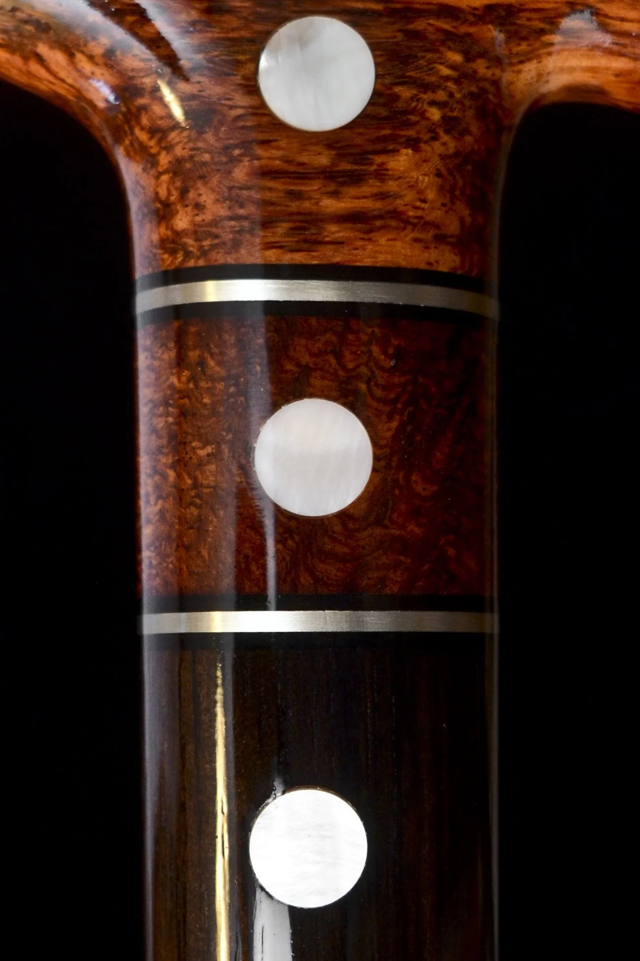 Flame Siam, Ebony 12.jpg