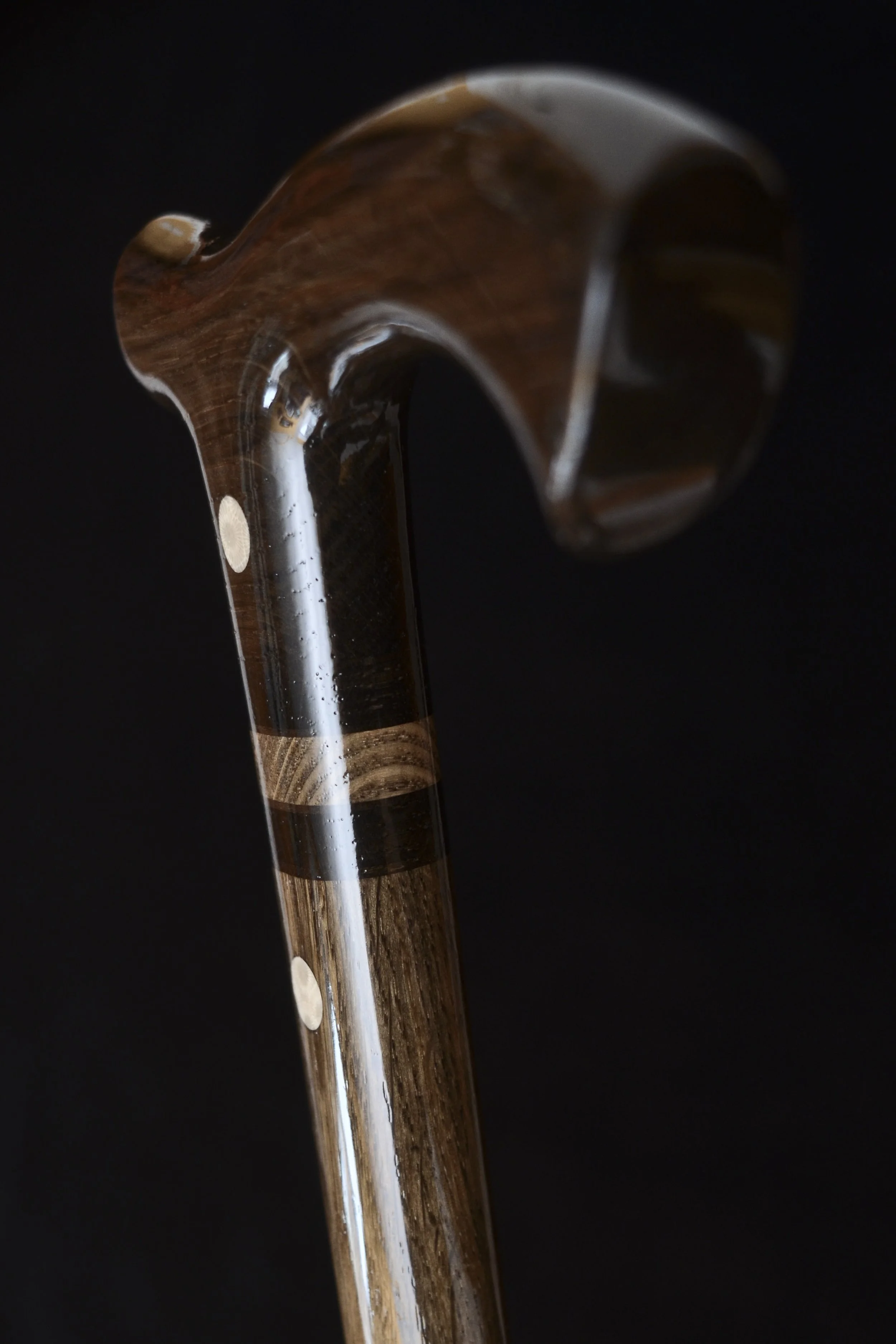 Bog Oak Fossil coral  4.jpg