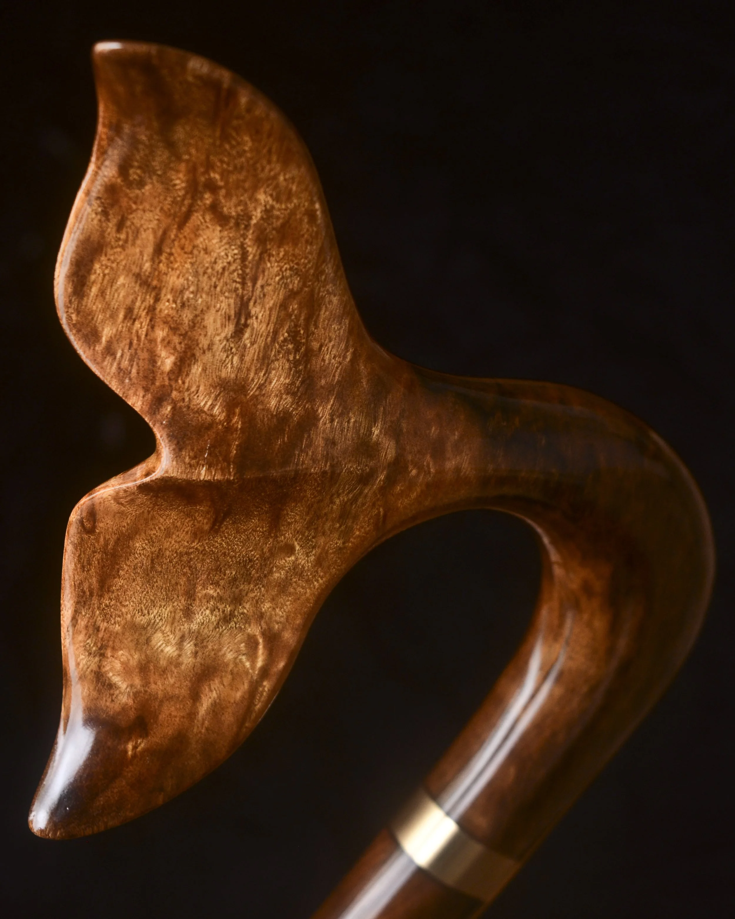 Imbuia Whale Tail 8.jpg