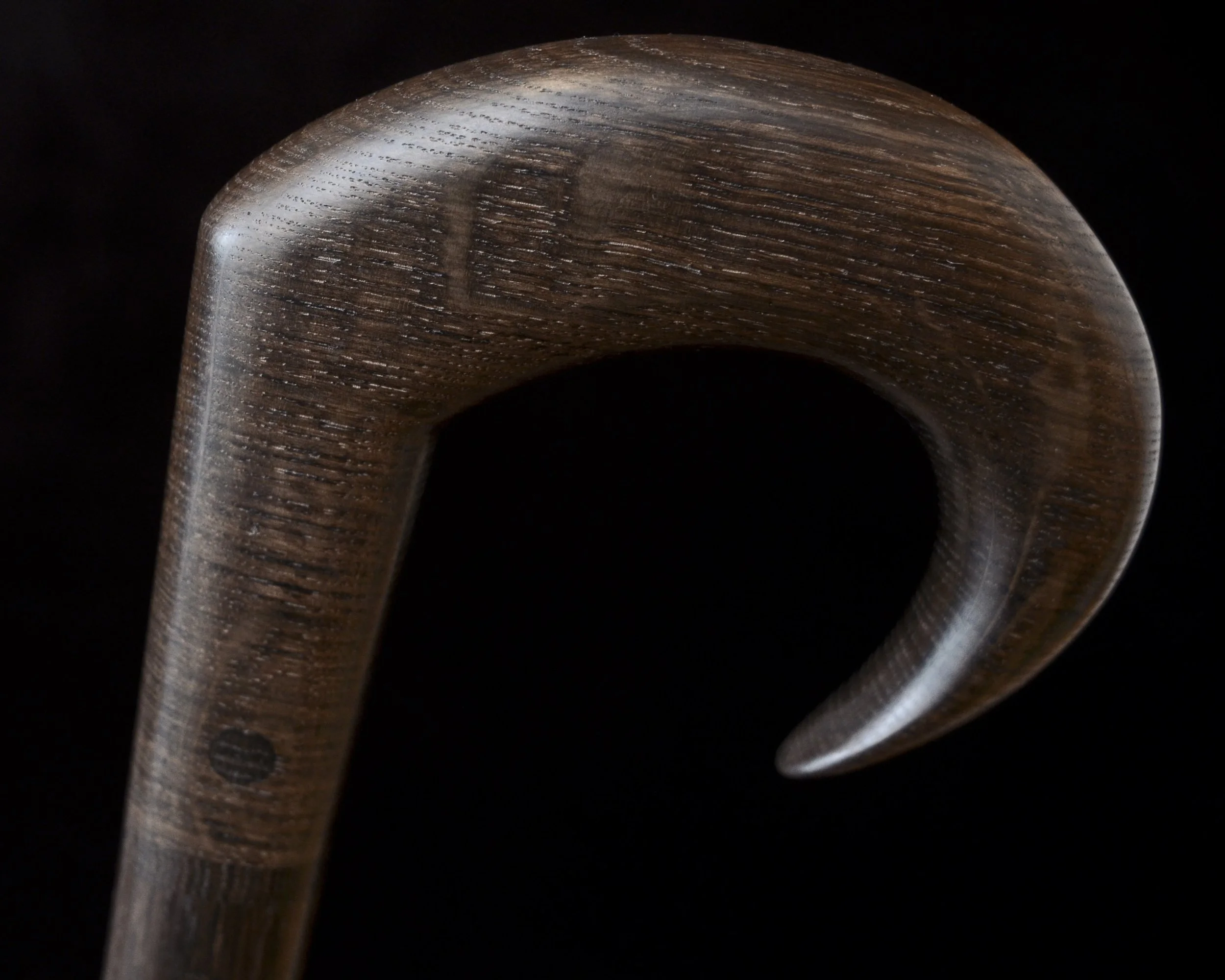 Bog Oak 7.jpg