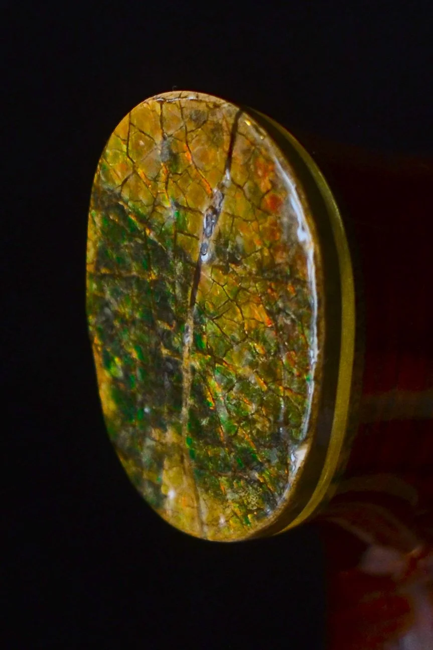 Rings Gidgee, Verawood, Ammolite 12.jpg