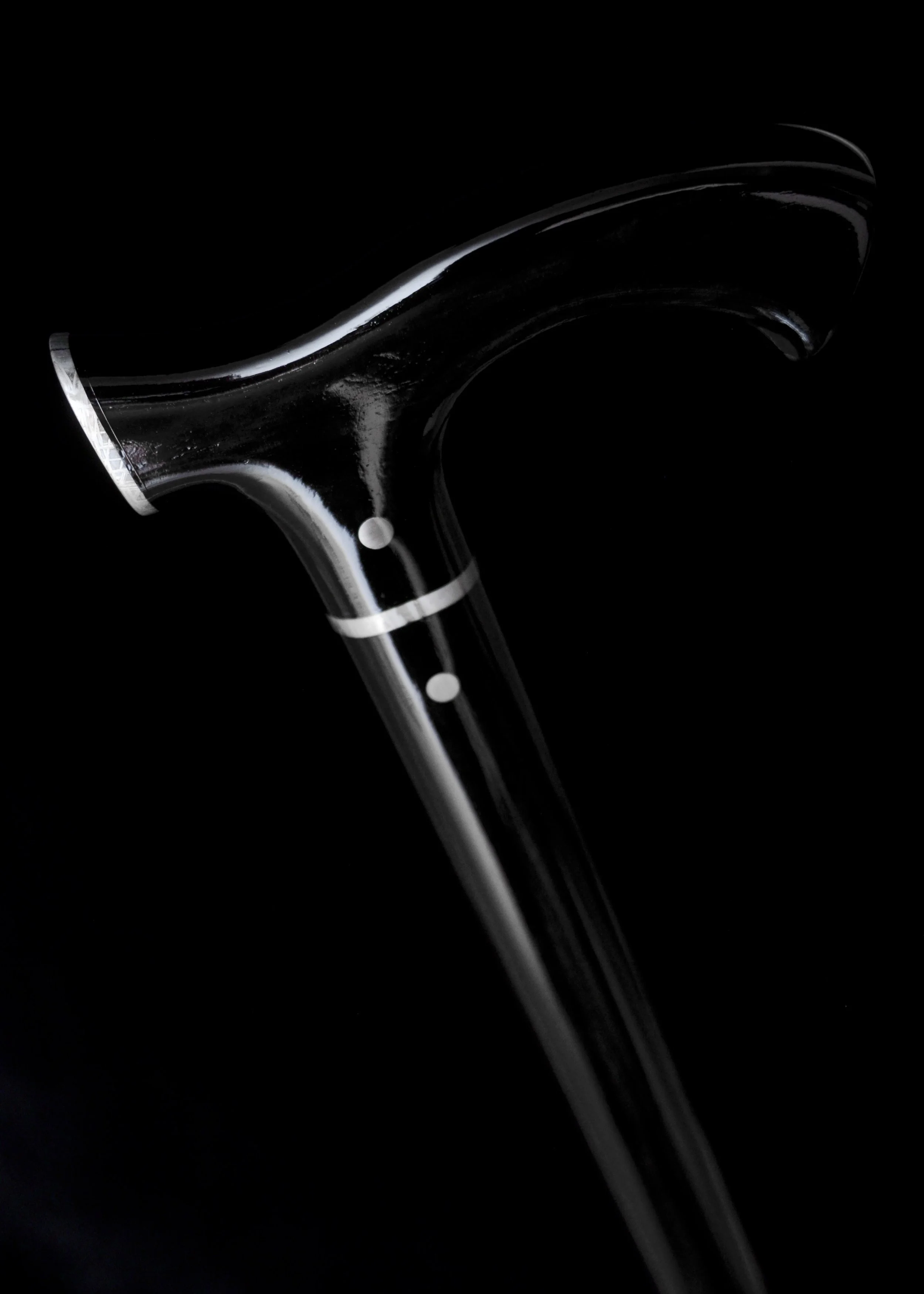 Ebony, Meteorite 4.jpg