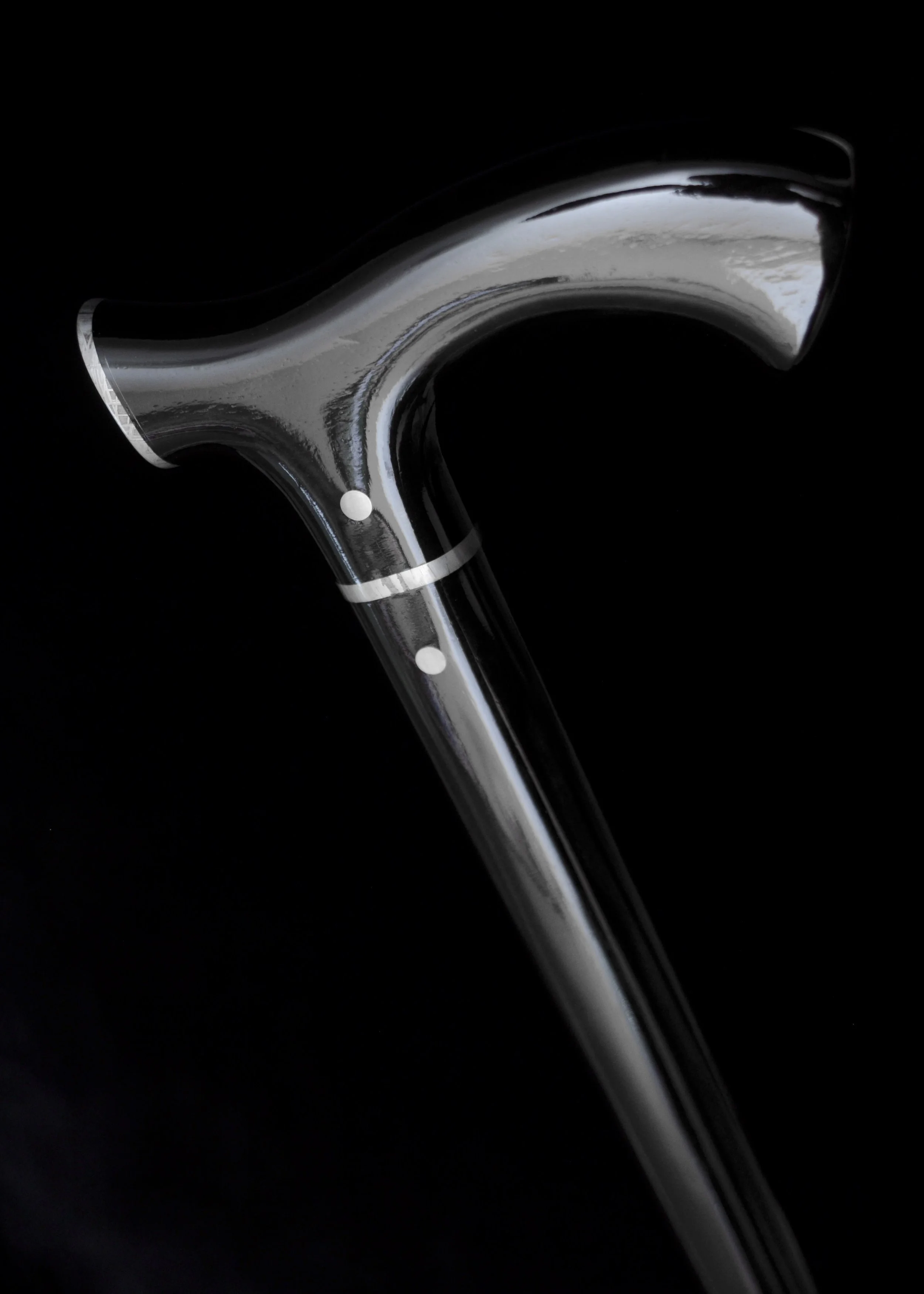 Ebony, Meteorite 5.jpg