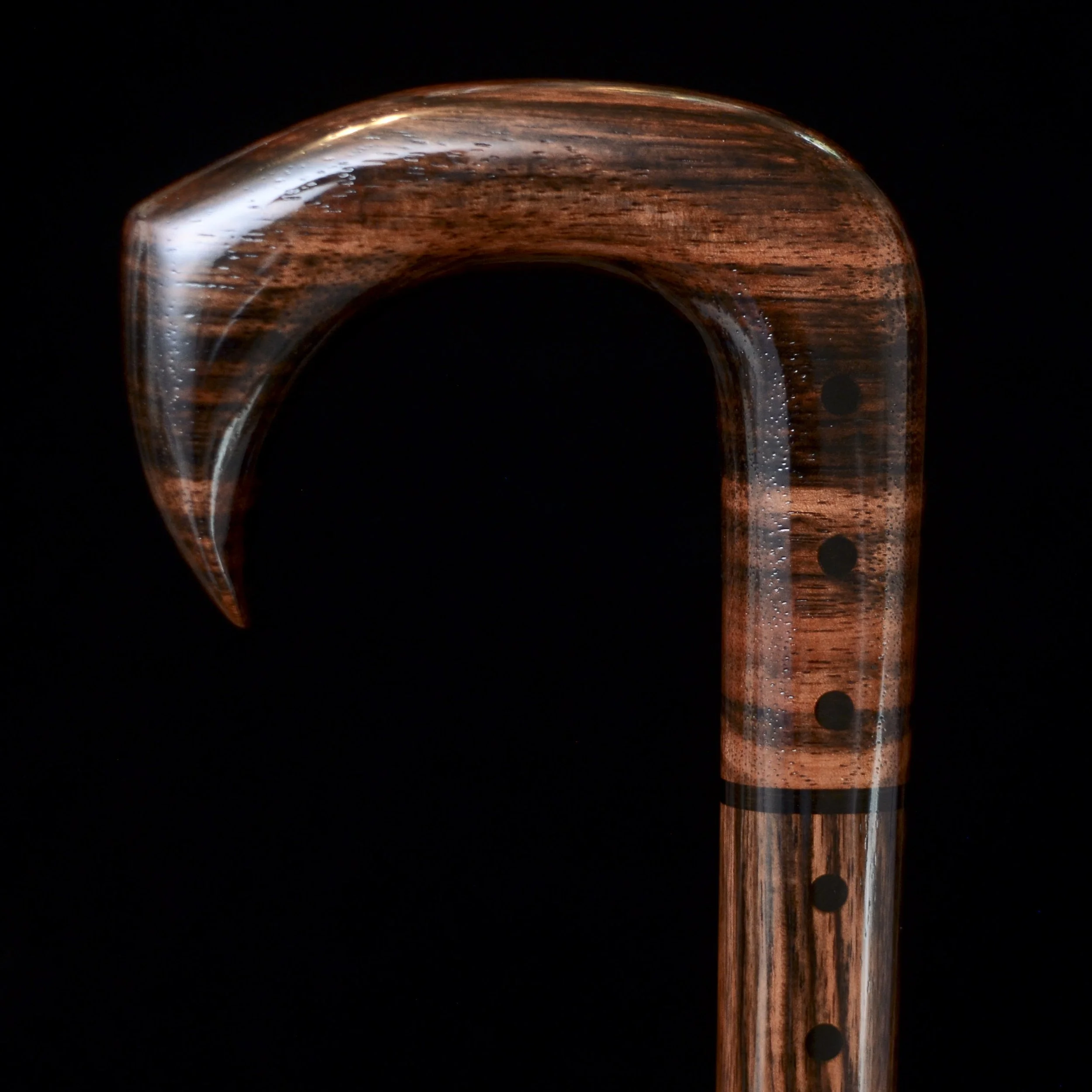 Ebony Talon 10.jpg