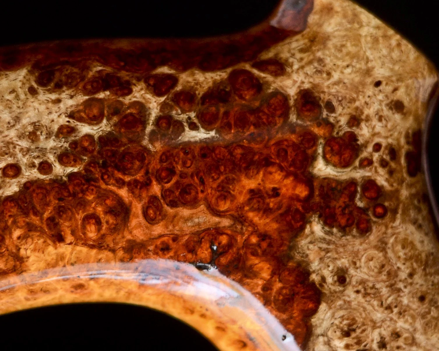 Amboyna, B&W Ebony 11.jpg