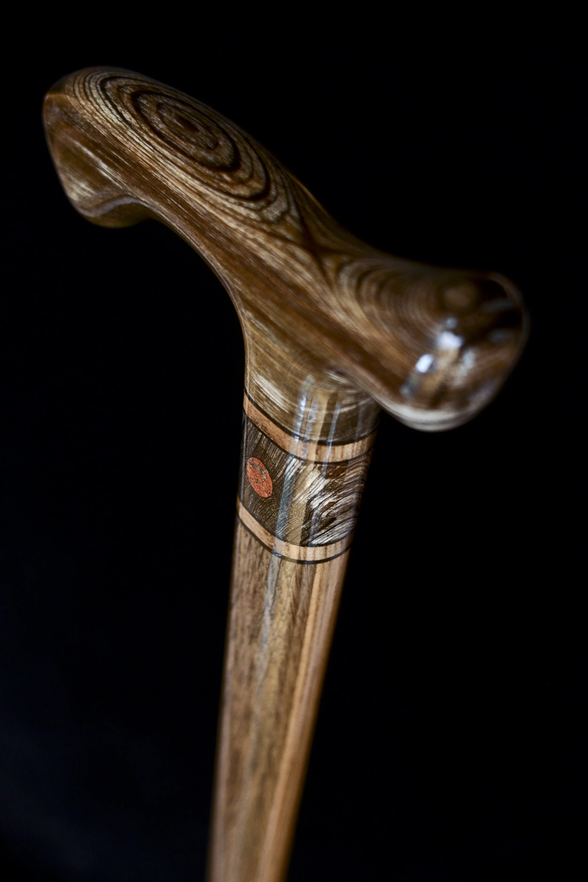 Sinker Cypress, Bog Oak, Jindai Nire, Dinosaur bone 3.jpg