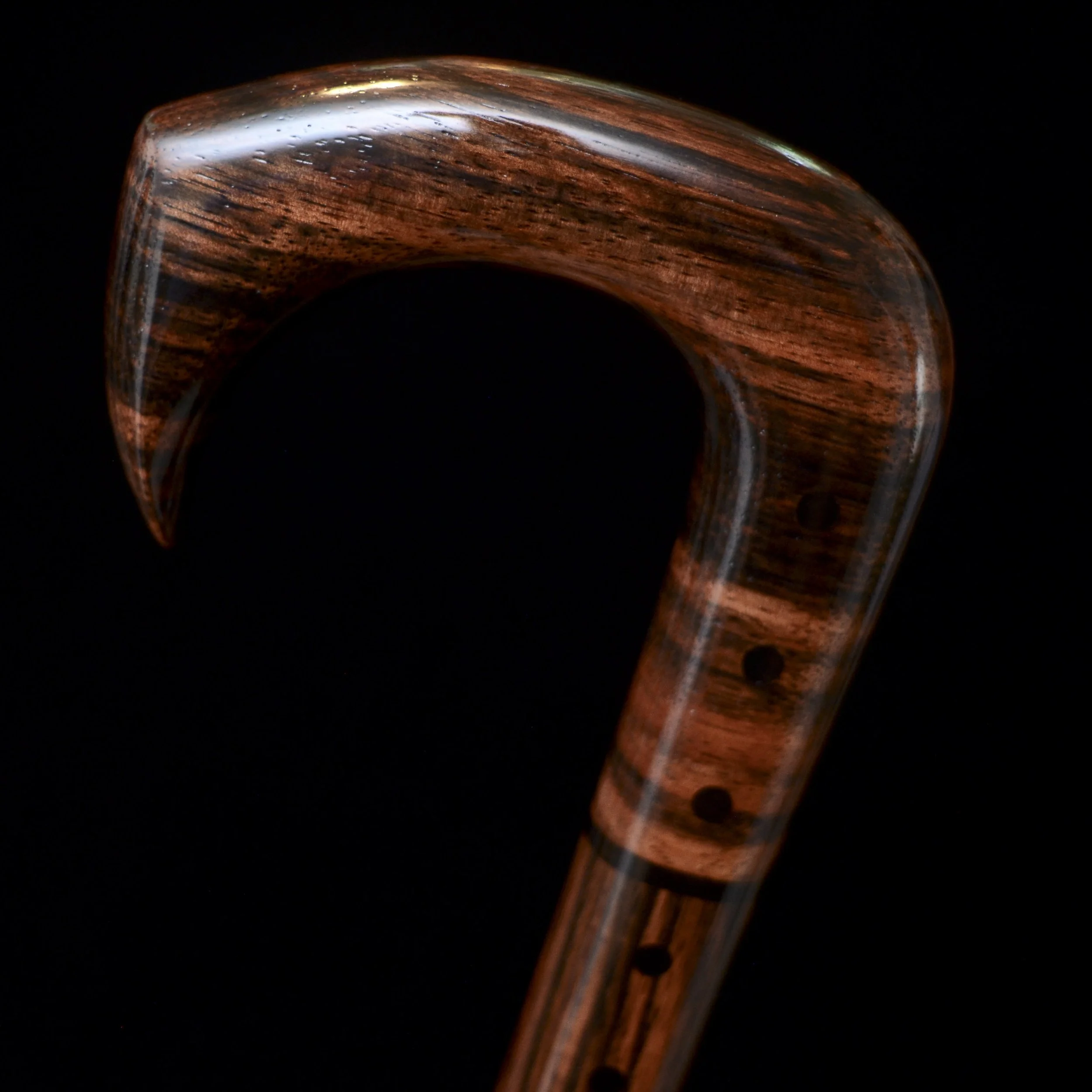 Ebony Talon 8.jpg