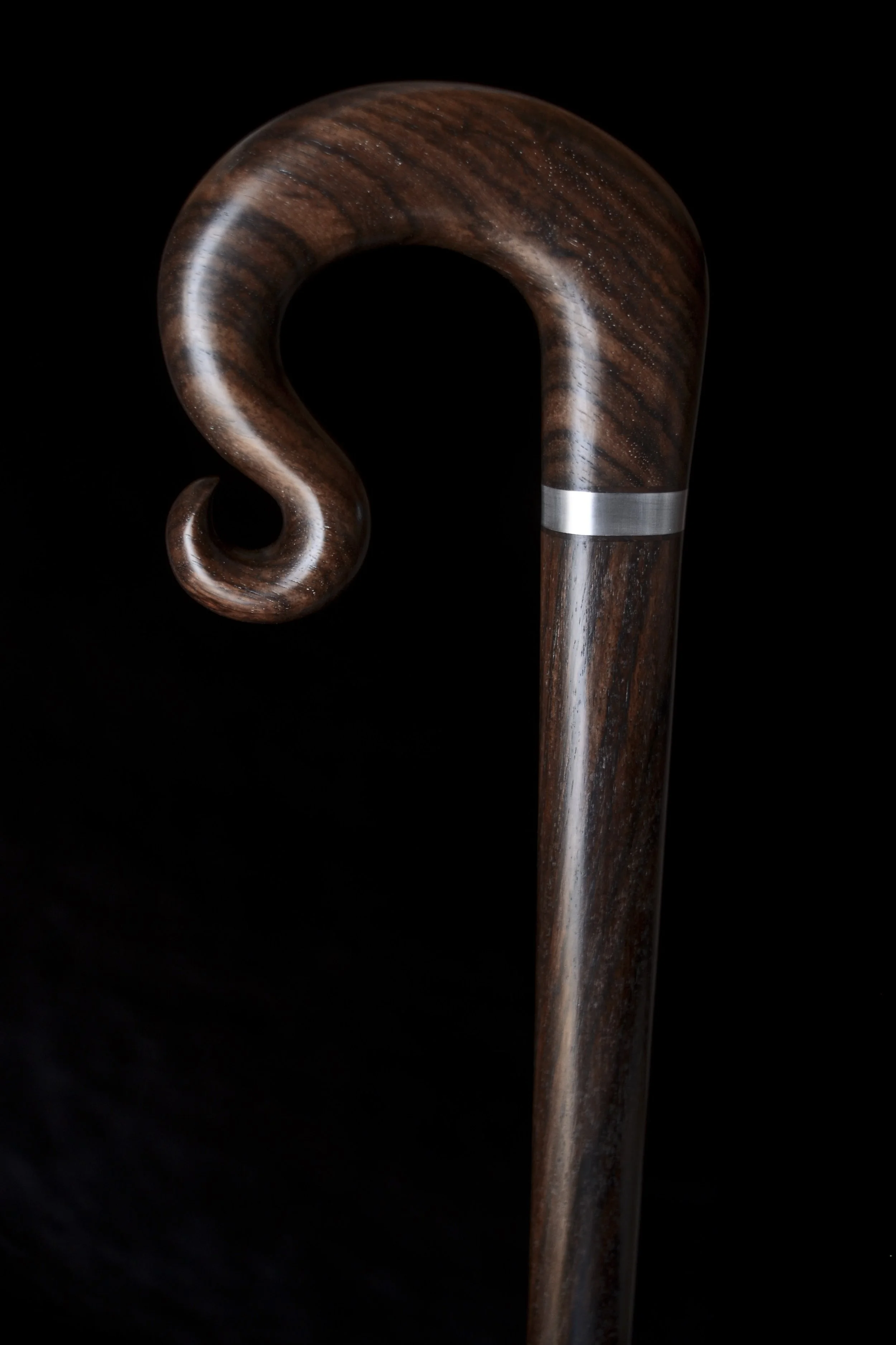 EIR Curl 2.jpg
