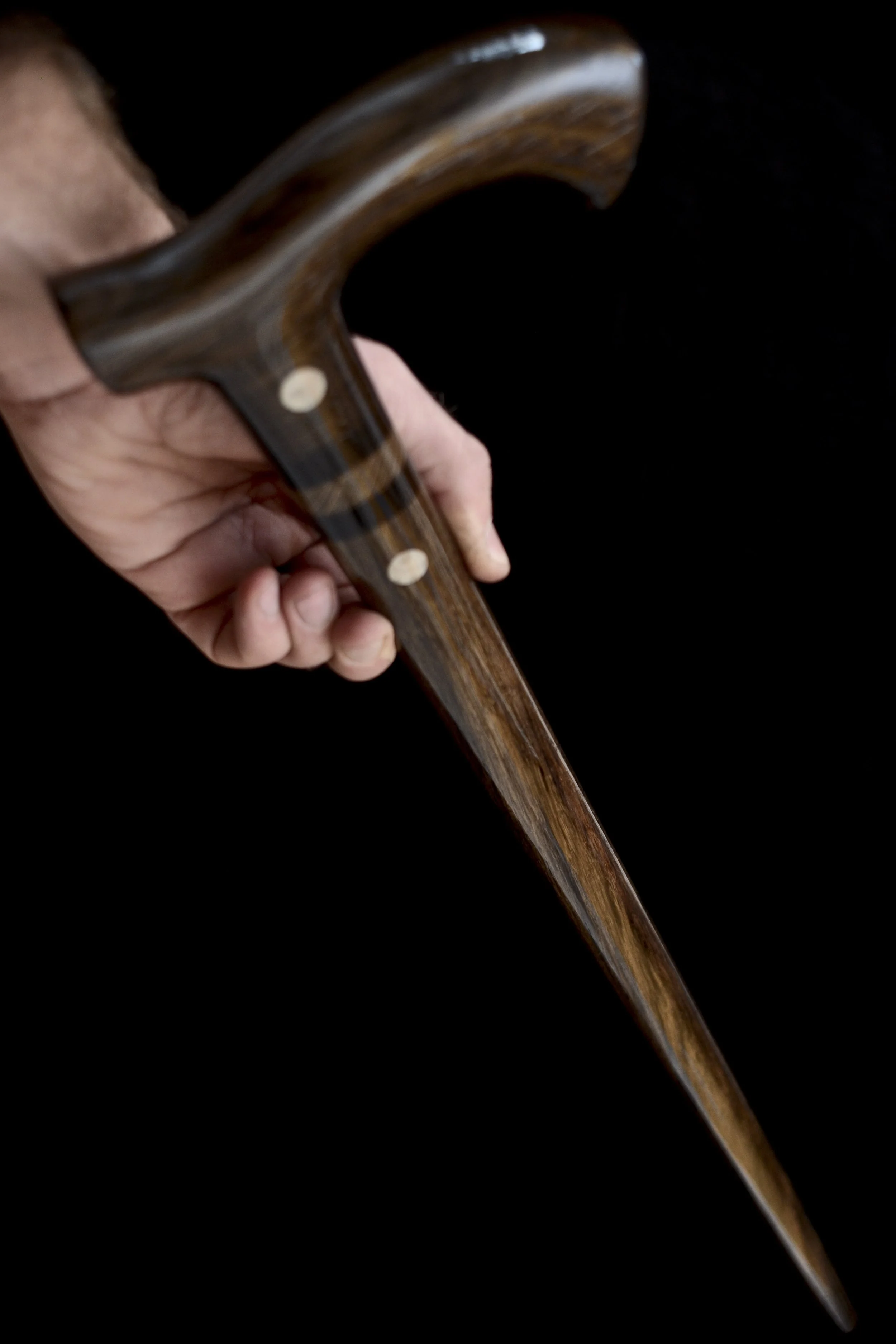 Bog Oak Fossil coral  12.jpg