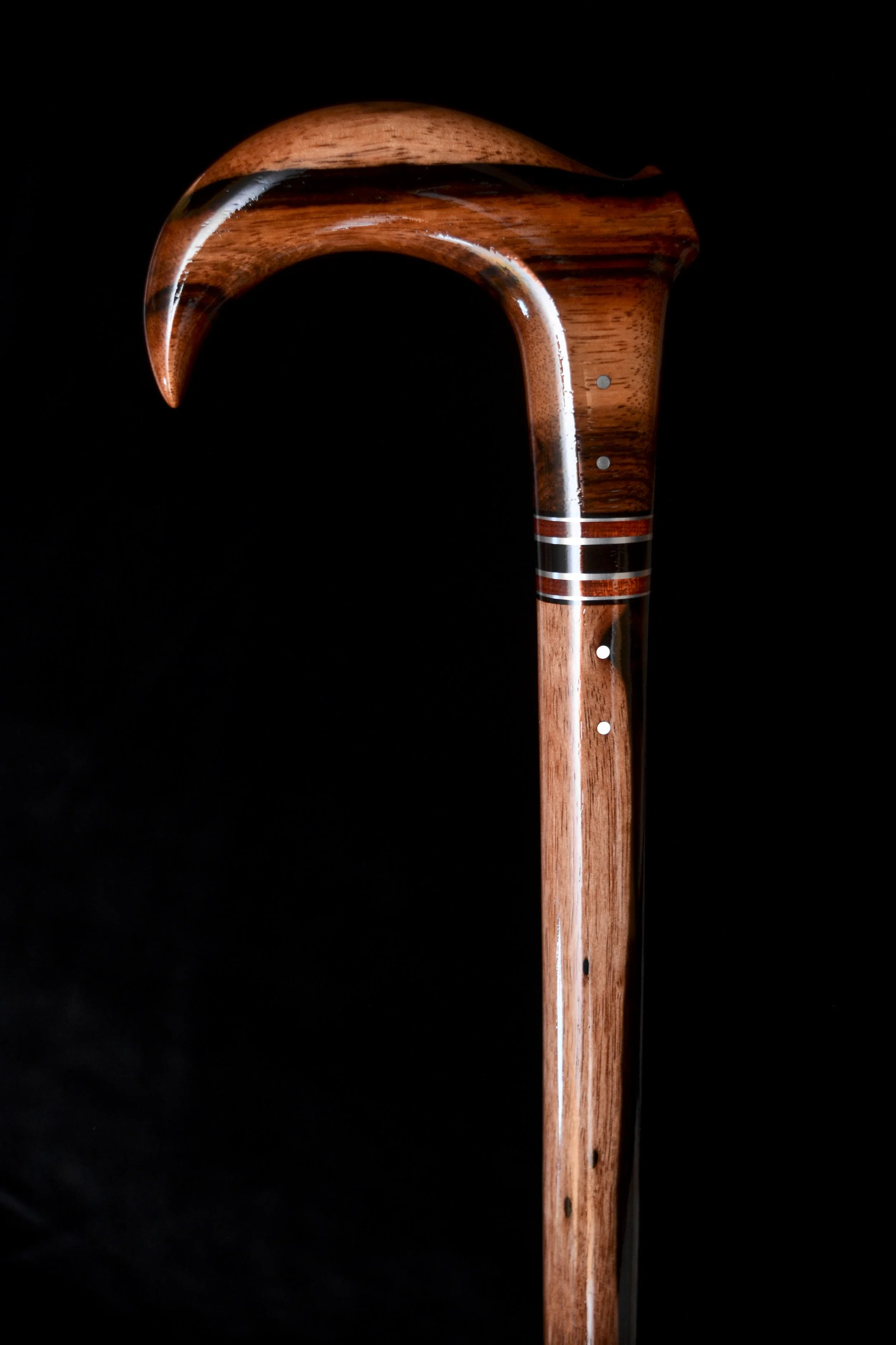 Macassar Claw 2.jpg