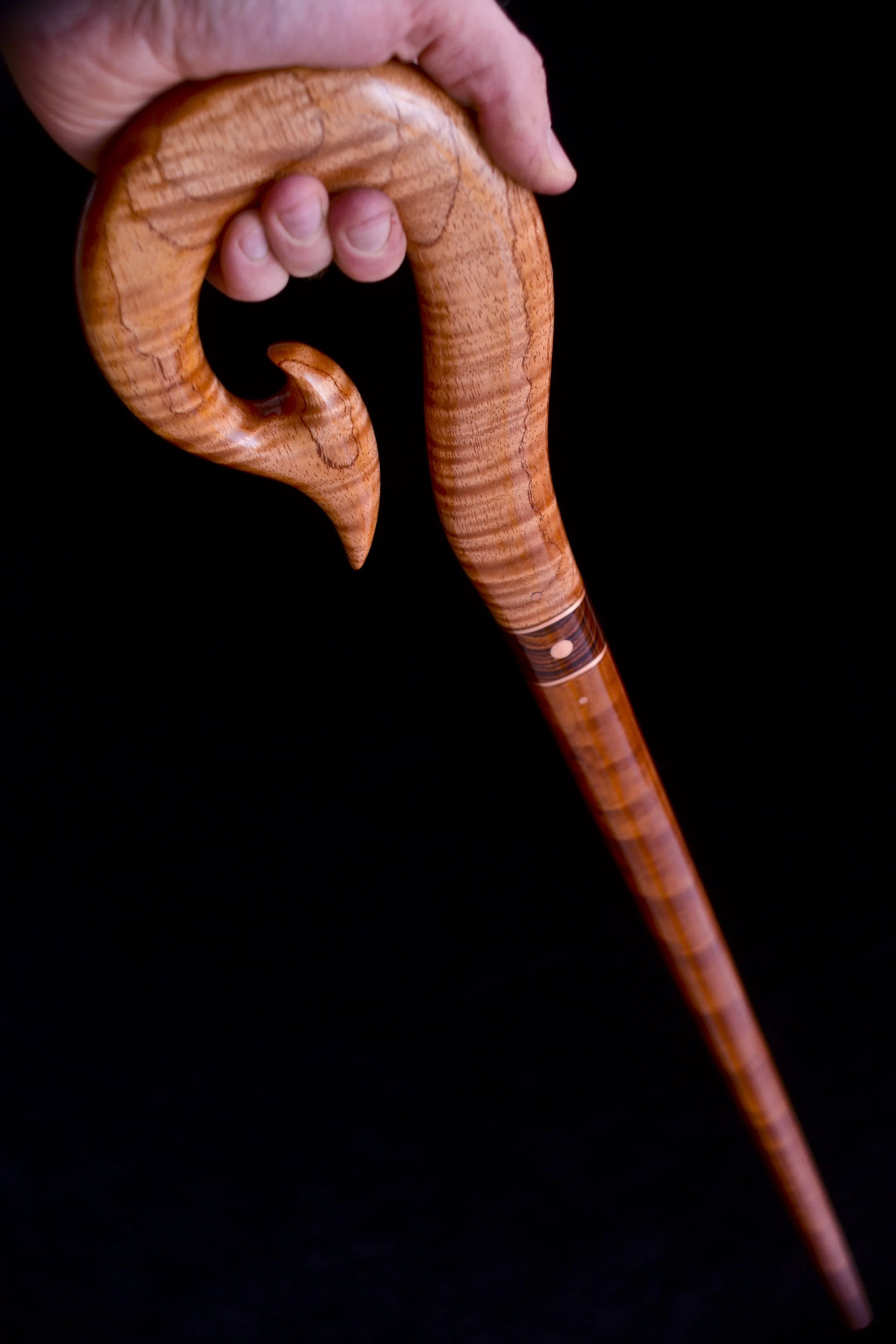 Toona sureni, Makore 10.jpg