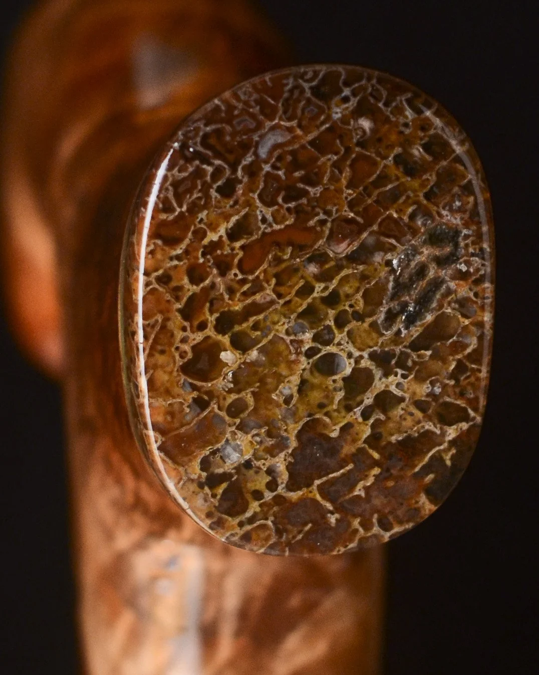 Padauk, Sheoak, Dinosaur Bone 11.jpg