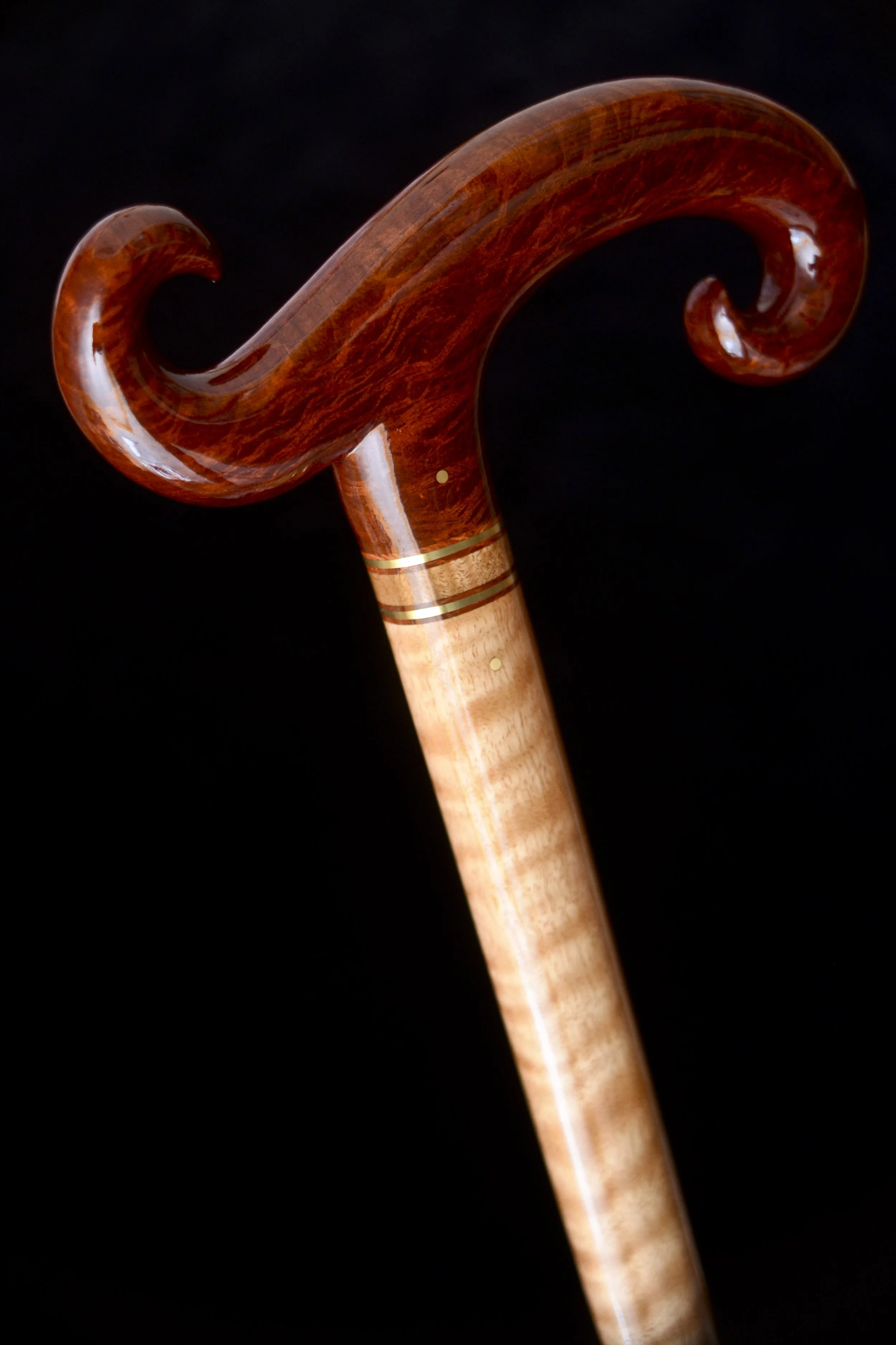 Sheoak, Eucalyptus 5.jpg