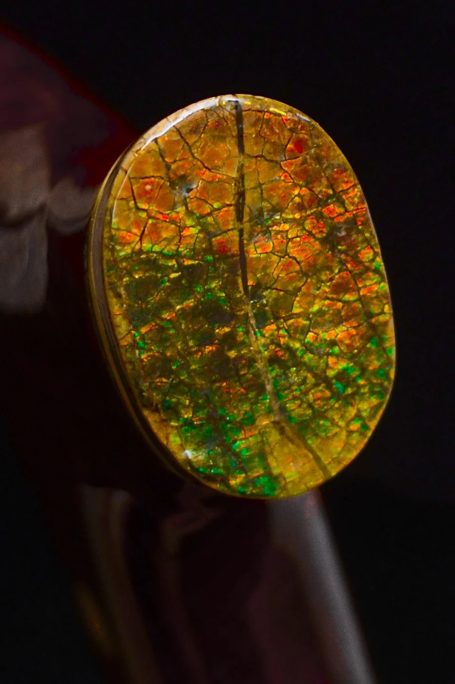 Rings Gidgee, Verawood, Ammolite 11.jpg