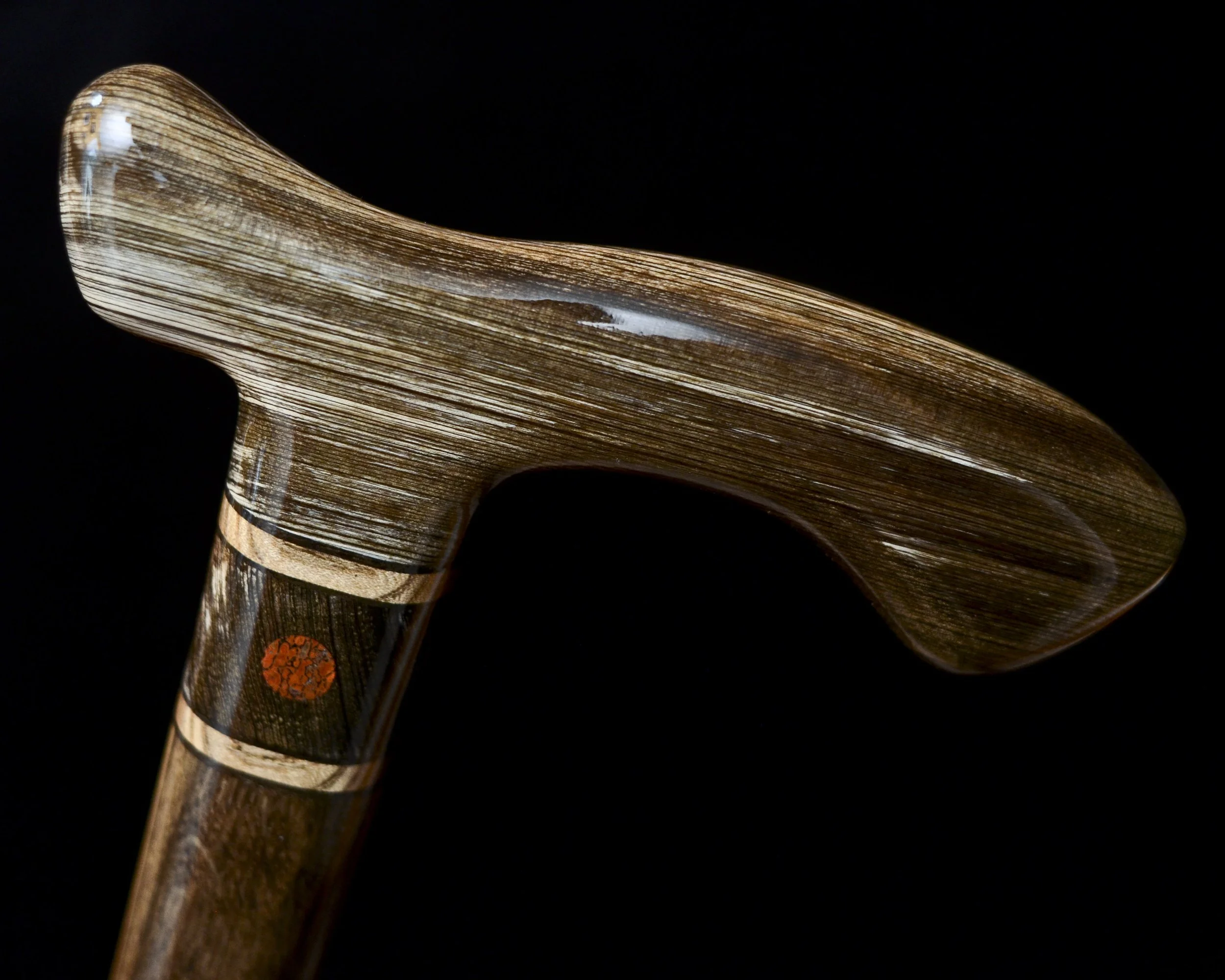 Sinker Cypress, Bog Oak, Jindai Nire, Dinosaur bone 7.jpg