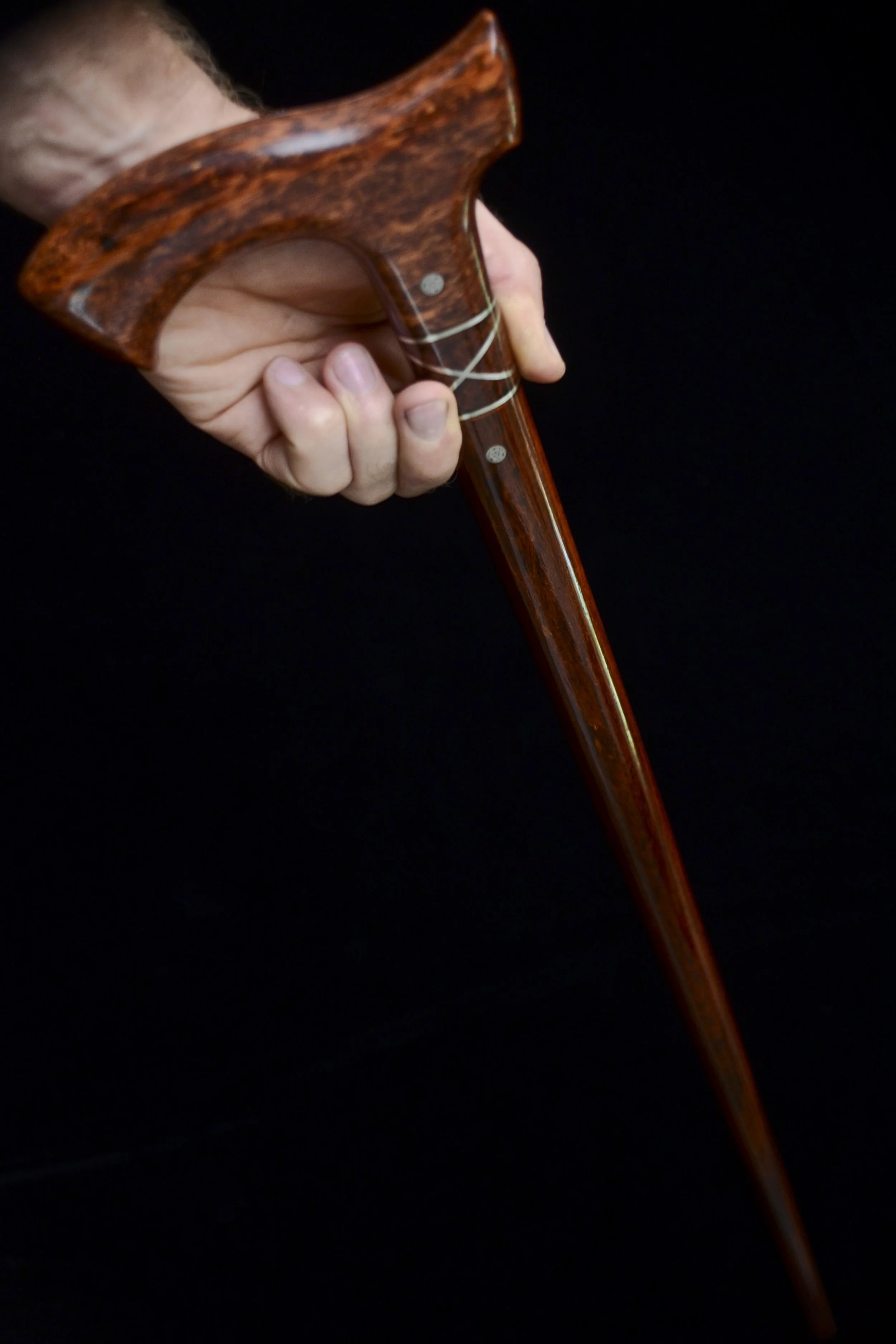 Siamese, Cocobolo 14.jpg