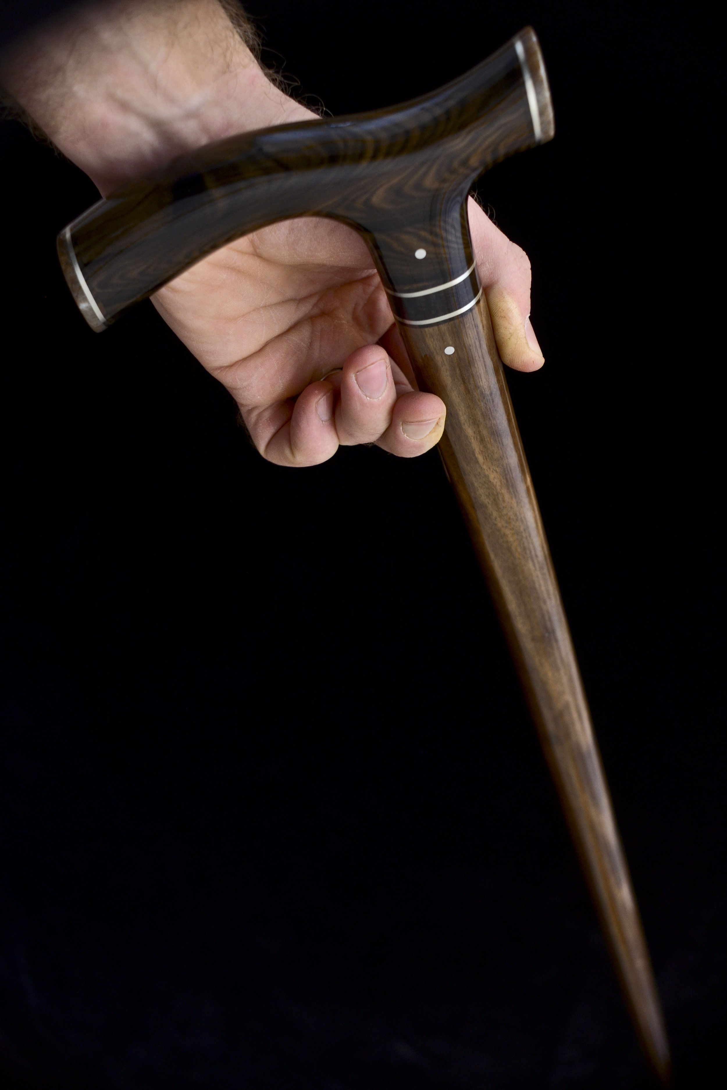 Mun Ebony, Kalimantan Ebony, Dinosaur Bone 15.jpg